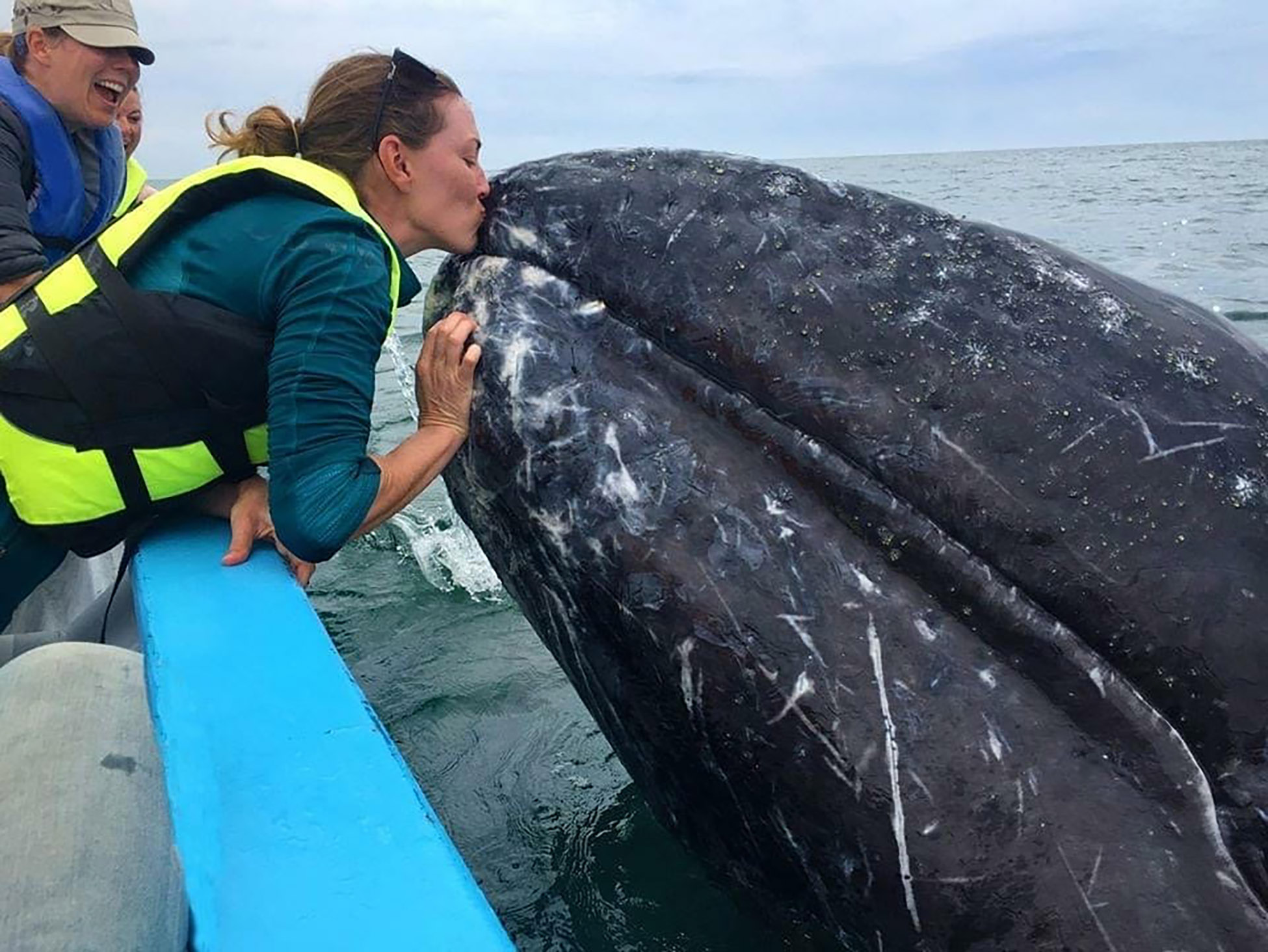 Woman on boat kissing tip of surfacing whale