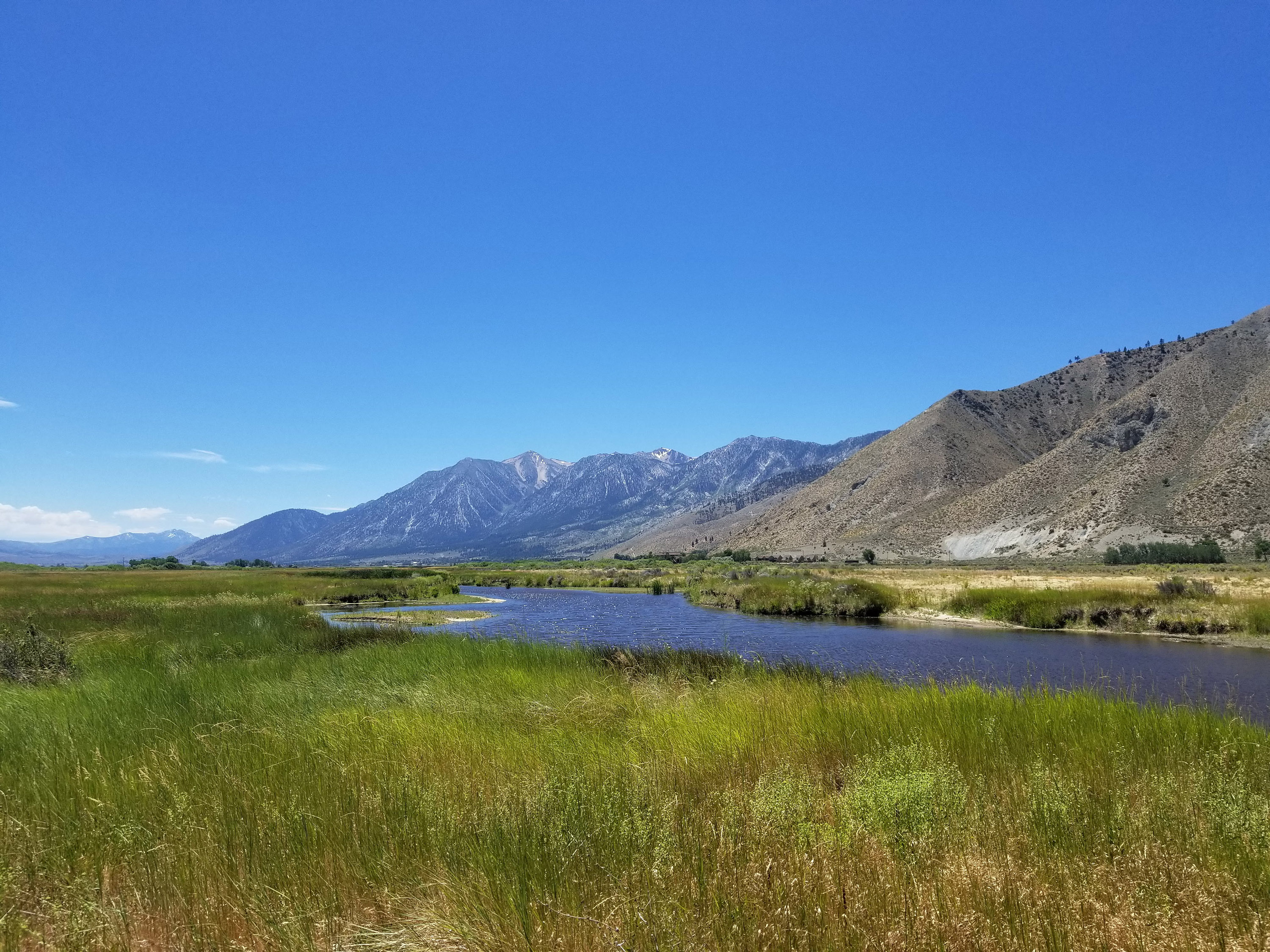 Eastern Sierra River with grass, mountains, and blue sky