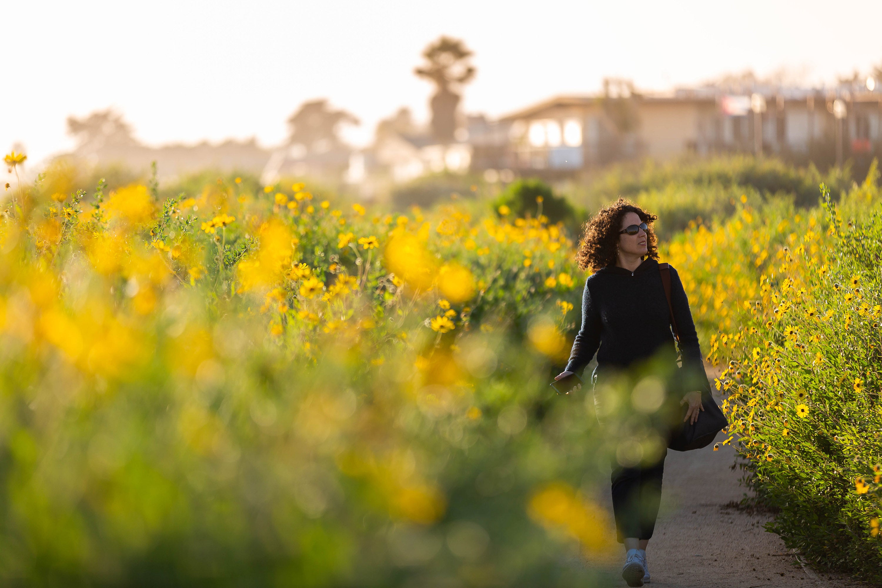 Woman walking on path surrounded by yellow flowers