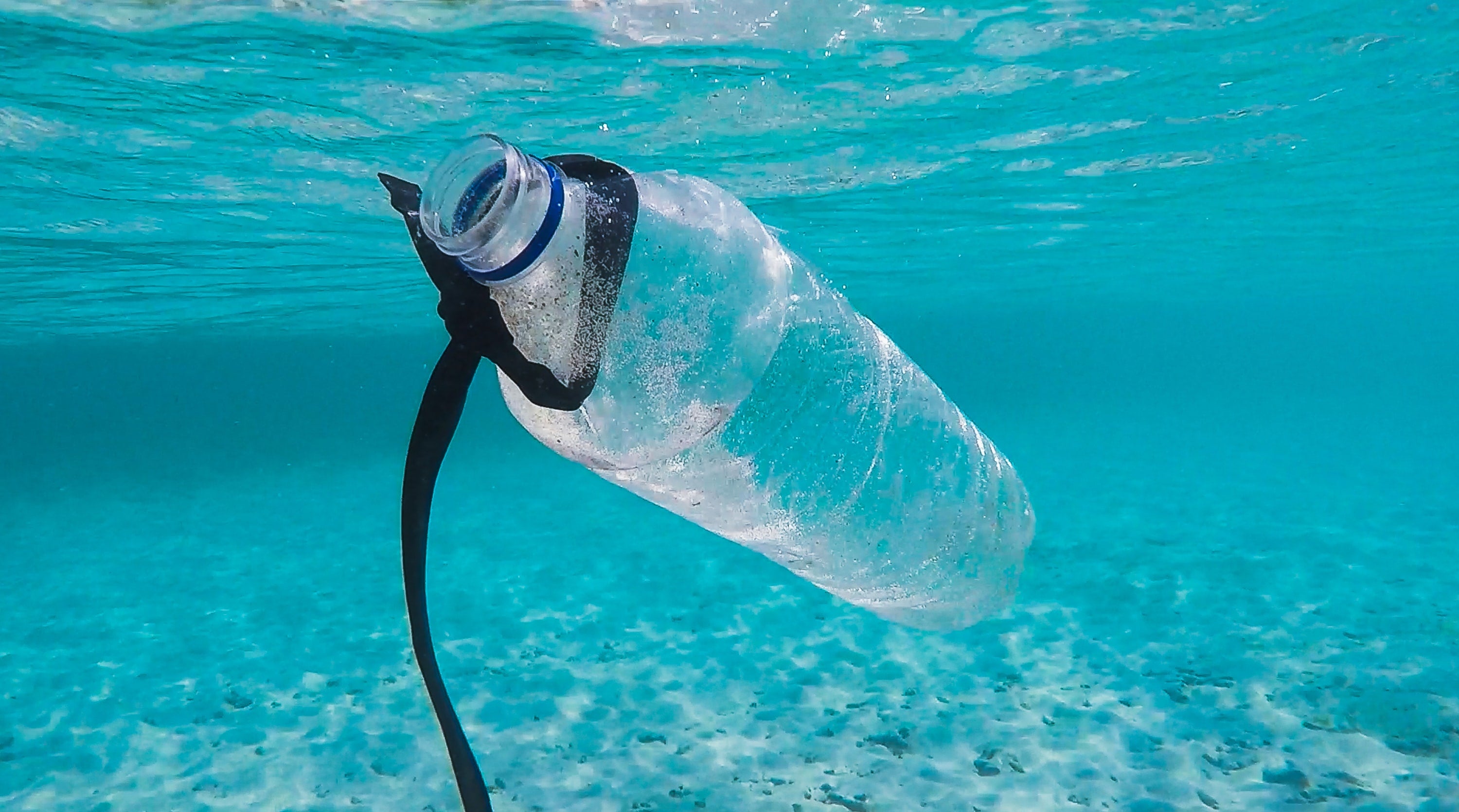 A plastic bottle floats underwater