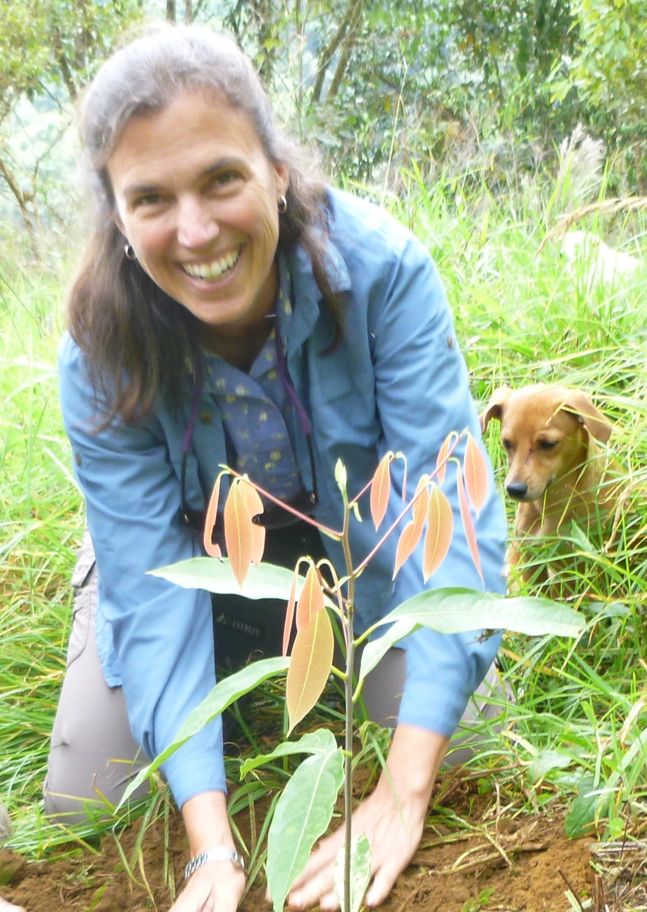 Karen Holl kneeling, planting a seedling