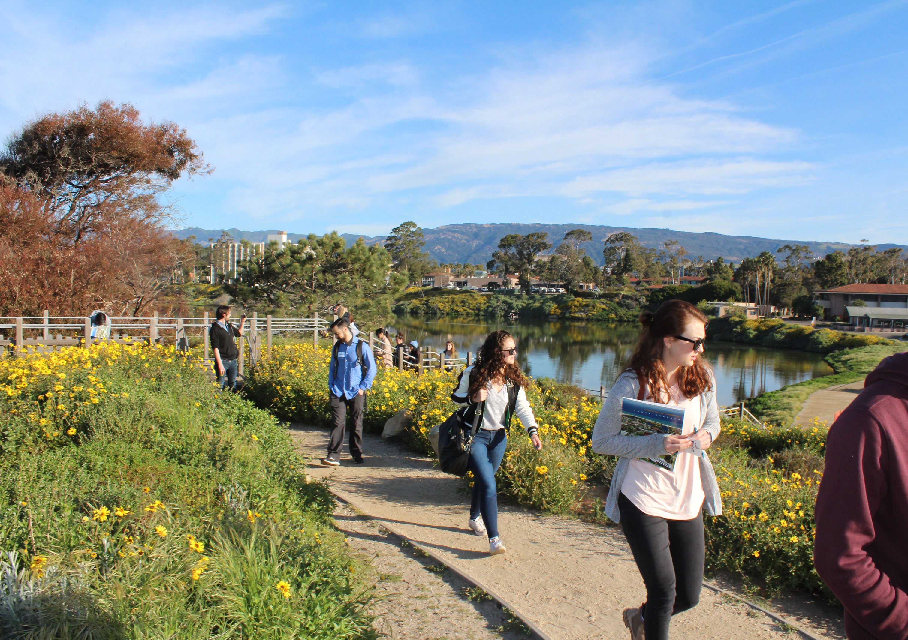 People walking on a tour of beach bluffs