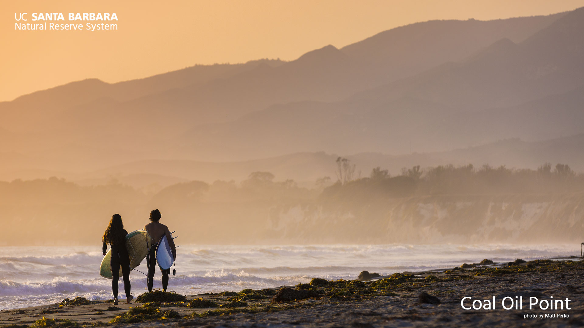 Surfers on a beach at sunset