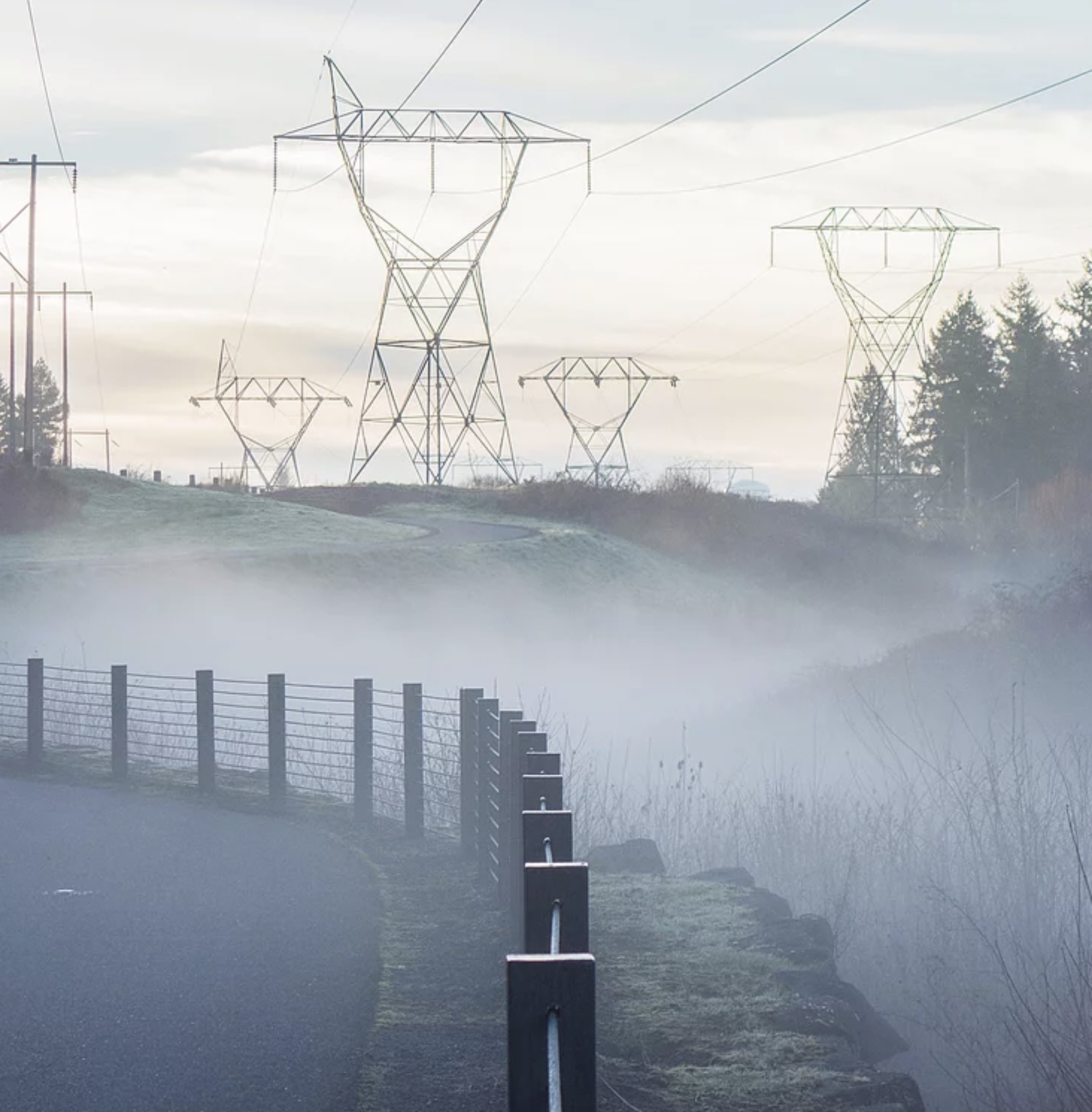 foggy road with power lines