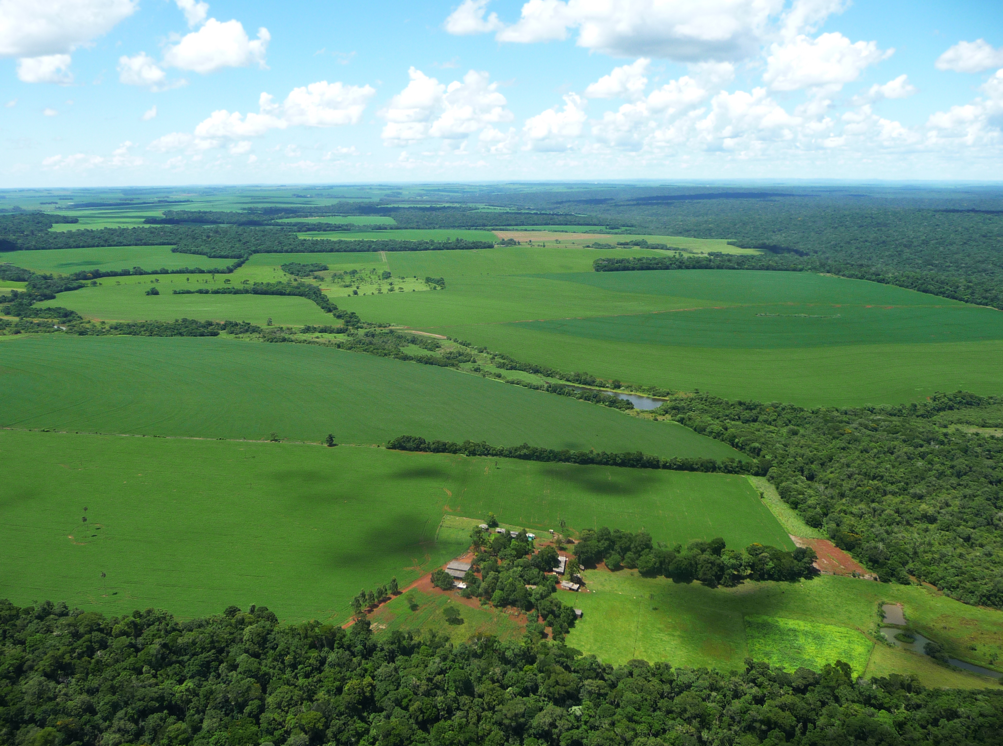 Deforested area in Brazil. Credit: Wikimedia Commons
