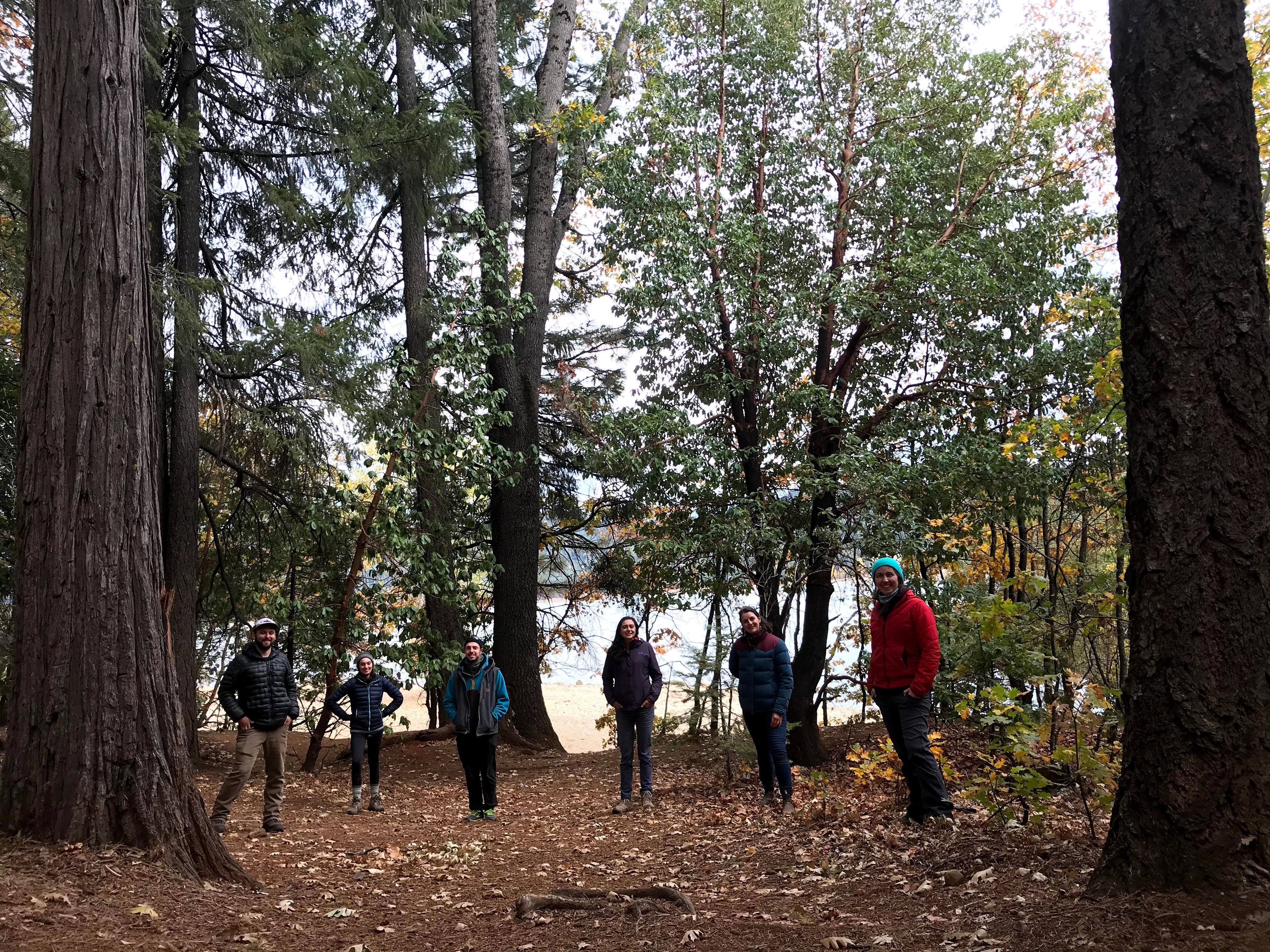 A group of 6 students stand in a clearing in the woods