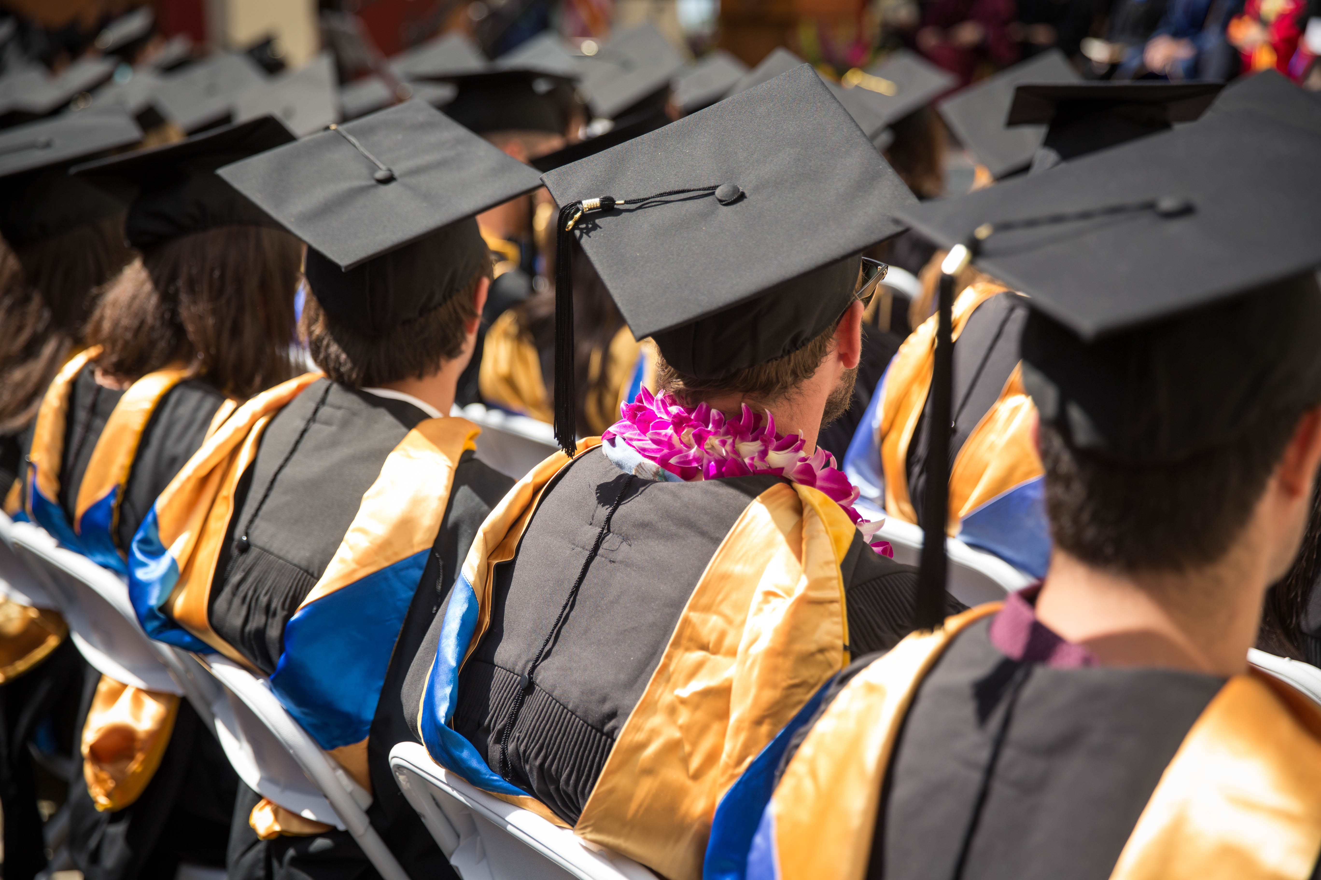 Graduates in caps are seen from behind at commencement