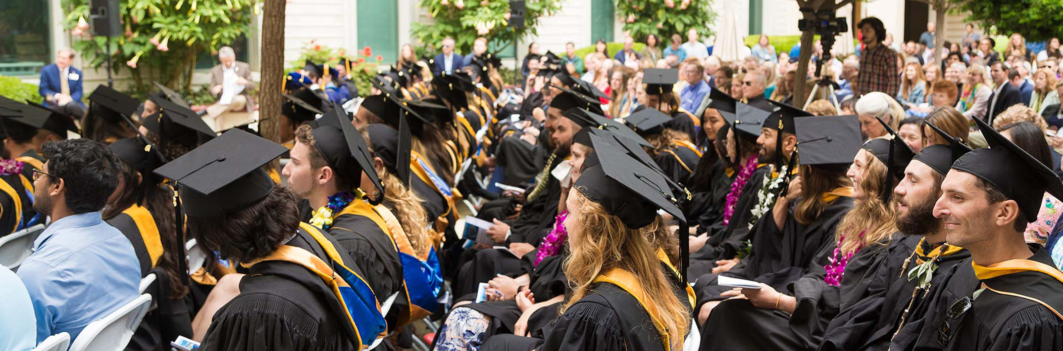 Rows of graduates in caps and gowns 