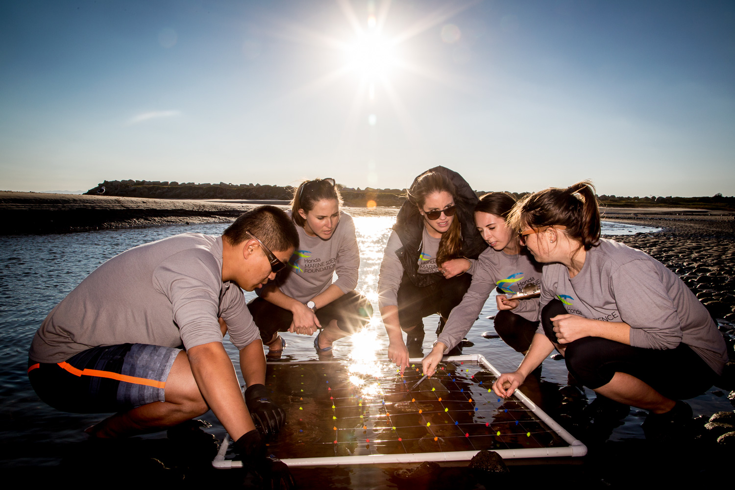 Five students gathered around a transect in the sand