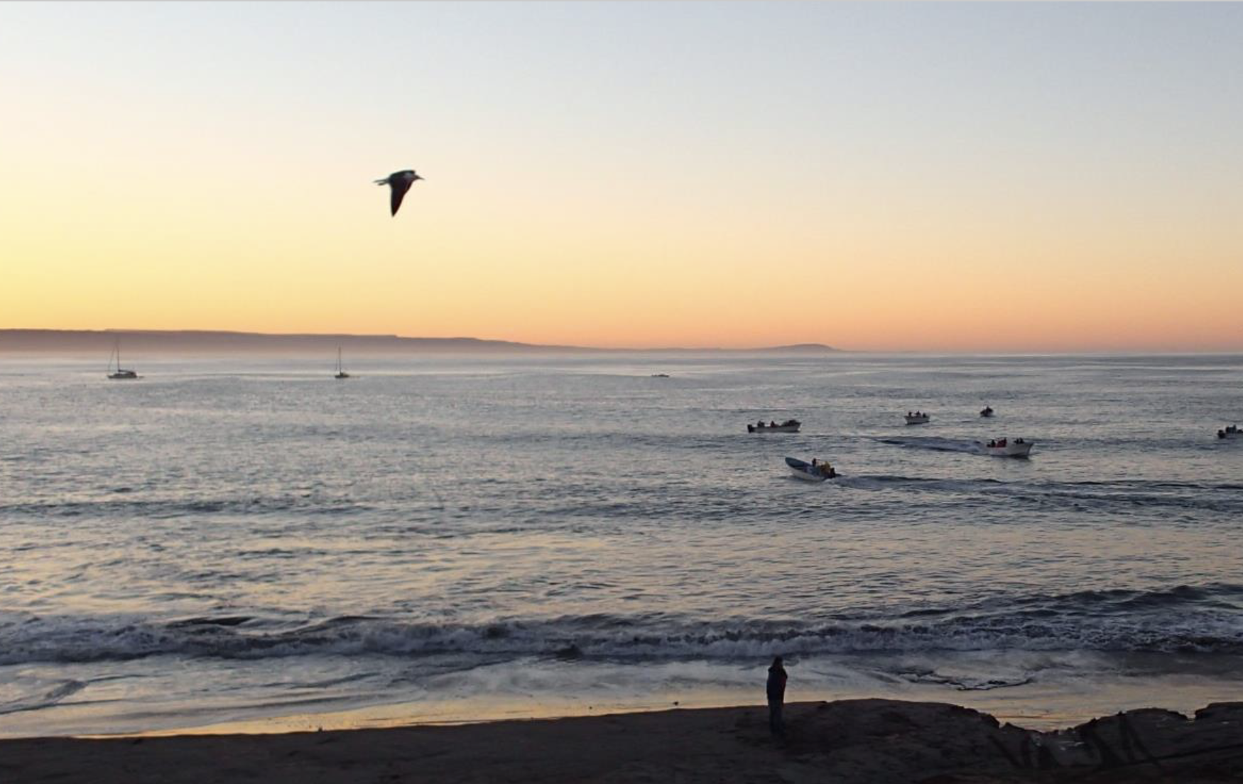 Sunset over ocean cove