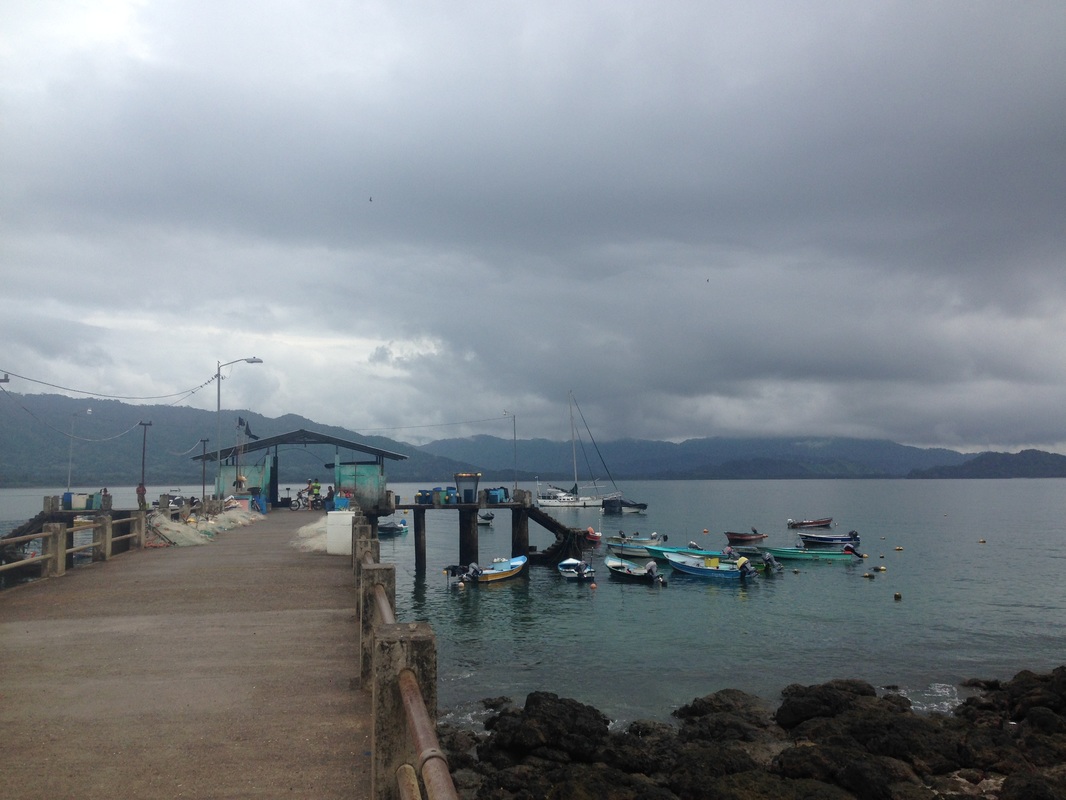 Dock with fishing boats