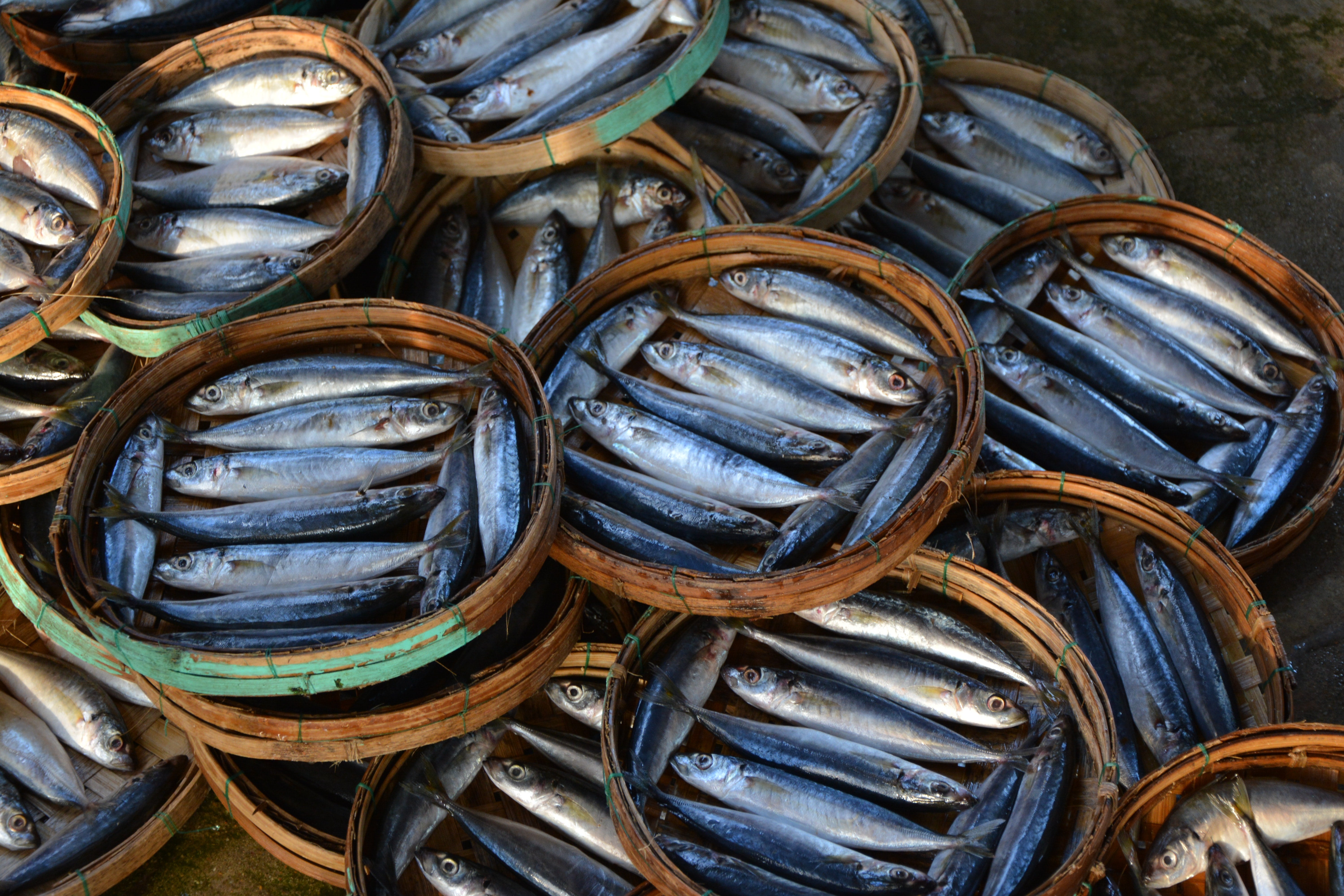 fish in artisanal baskets 