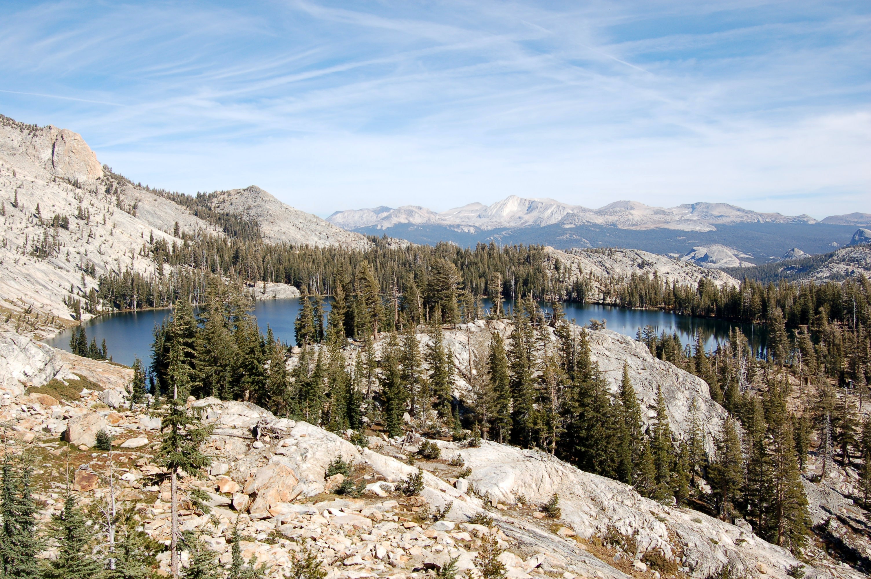 Mountain lake and forest 