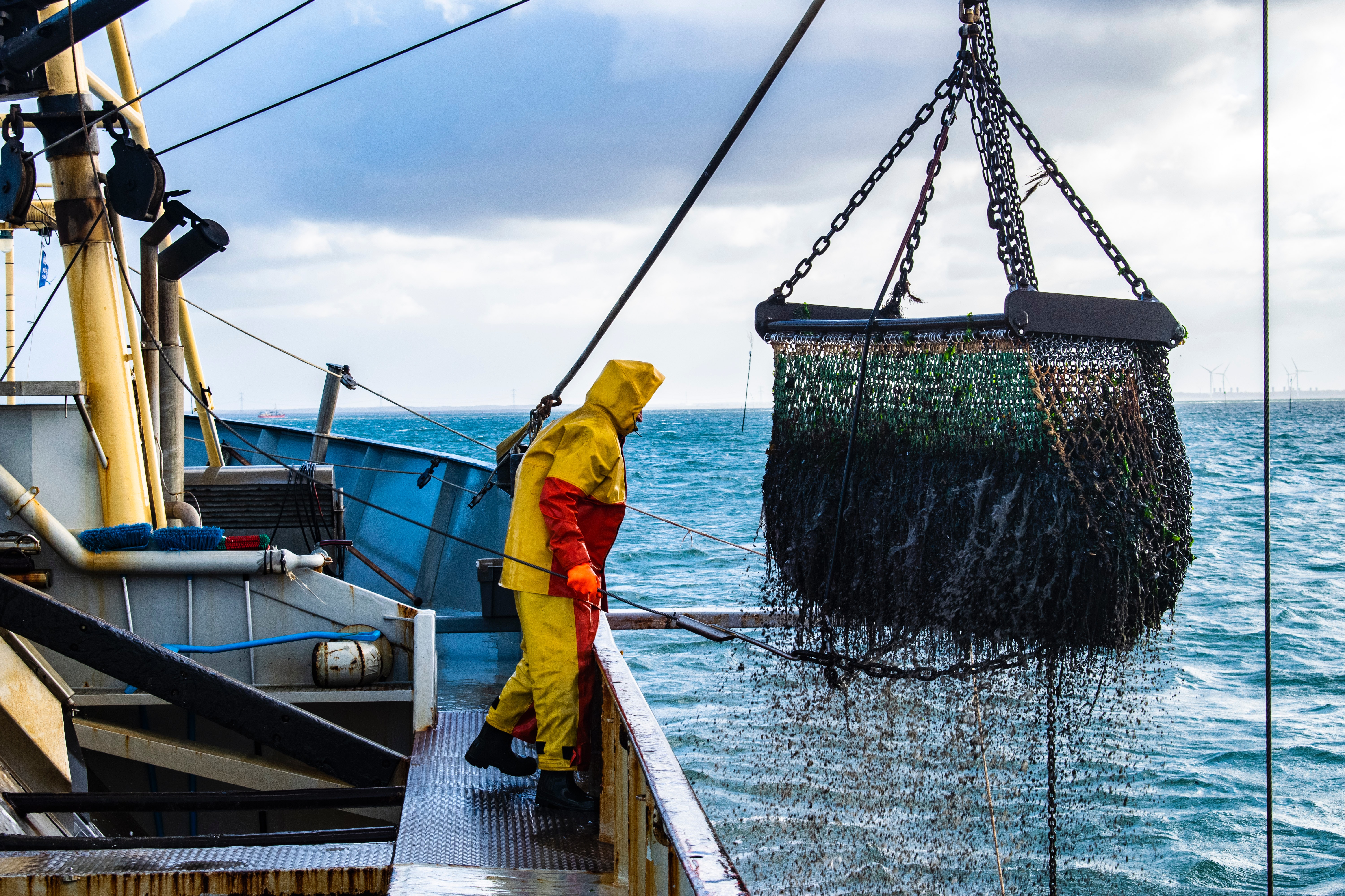 Boat hauls up net of fish