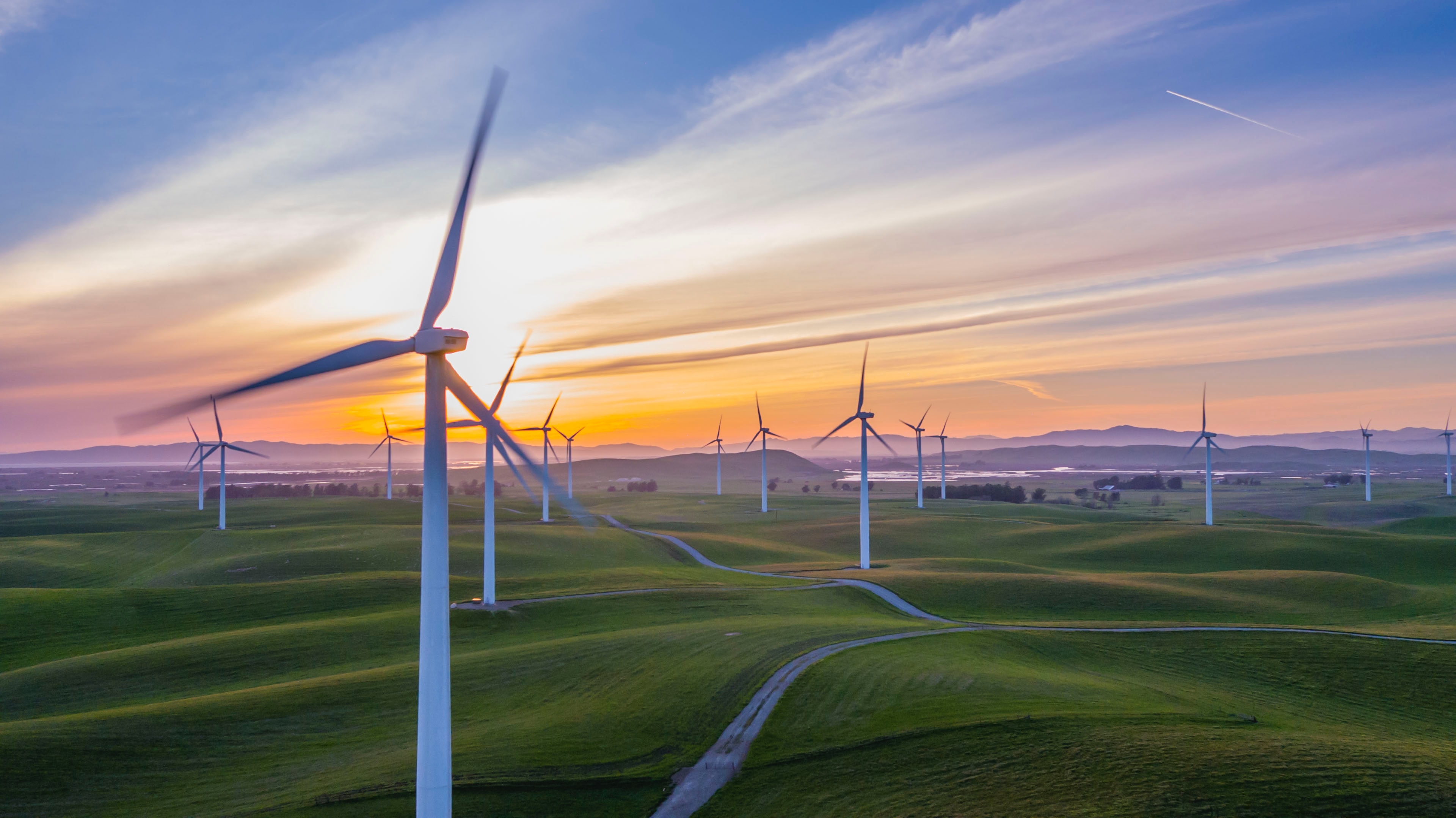 Wind turbines in a field