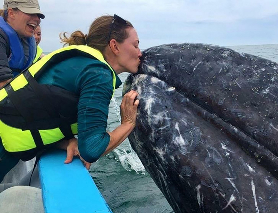 Lindsey and a grey whale, Laguna San Ignacio, Mexico