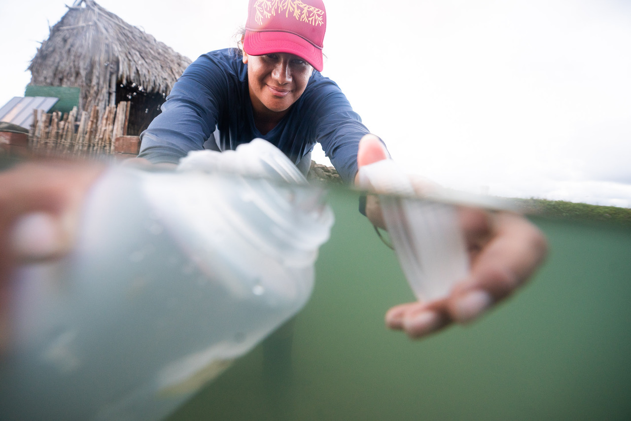 Kiana Frank collecting a water sample