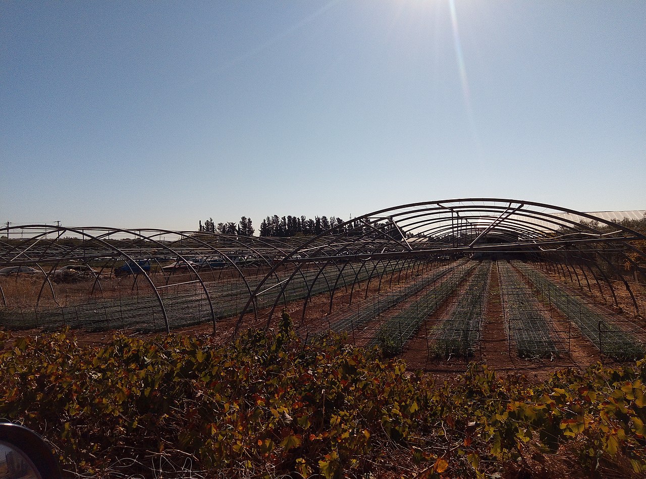 agricultural plan greenhouses