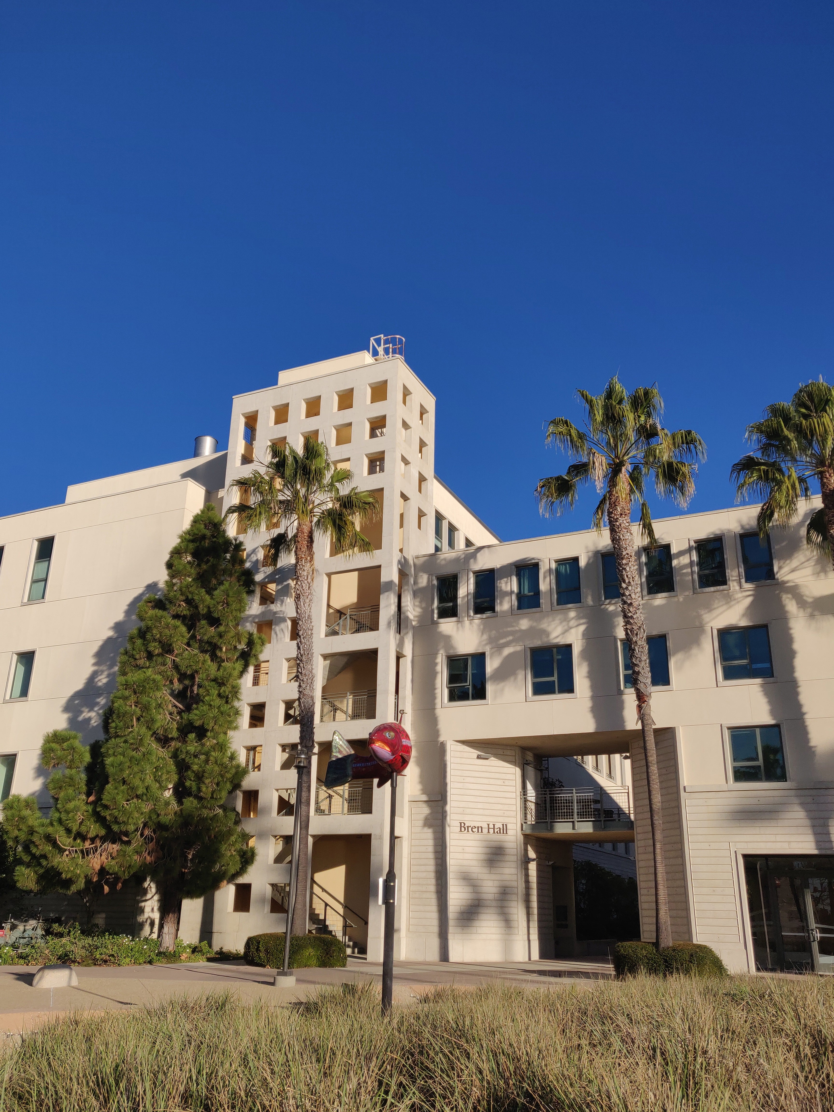 Exterior view of a tall university building