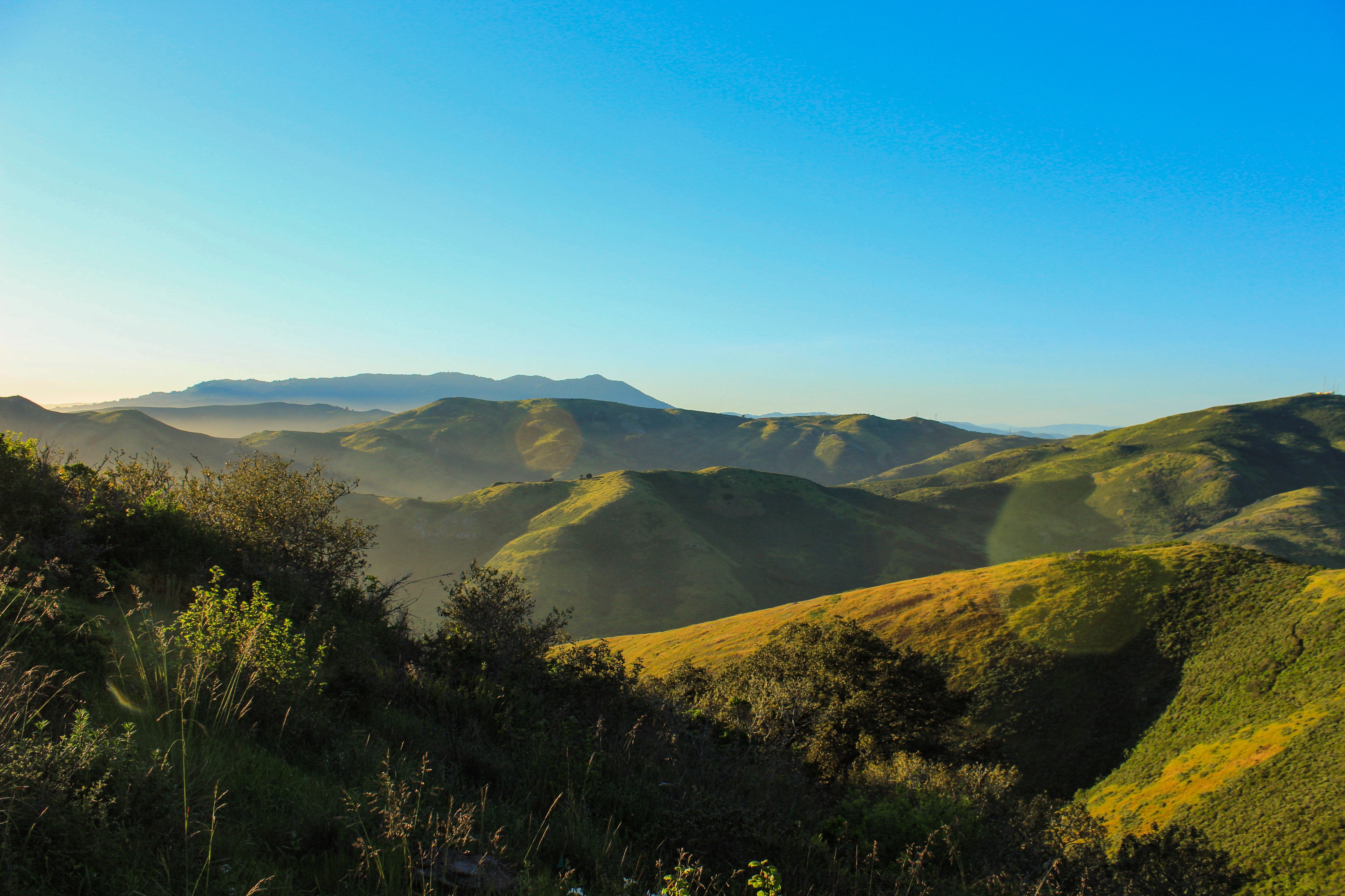 California landscape of rolling hills with green vegetation and blue skies