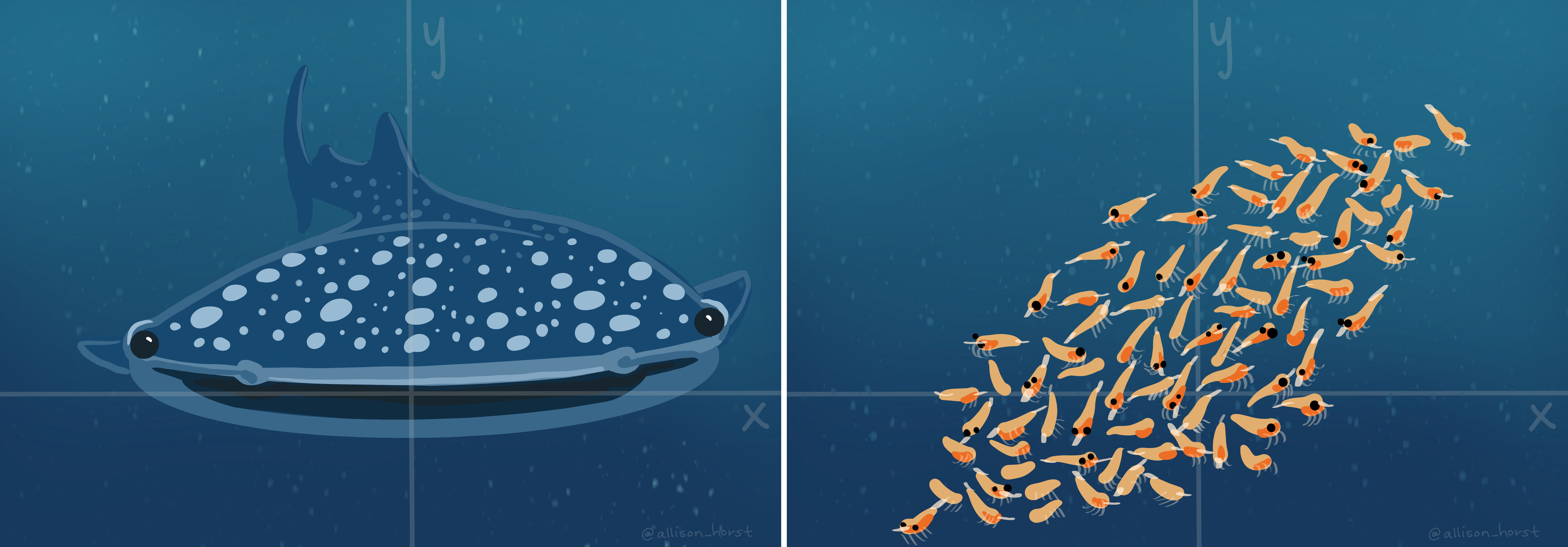 Cute illustration of a whale shark and krill on two different x-y axis