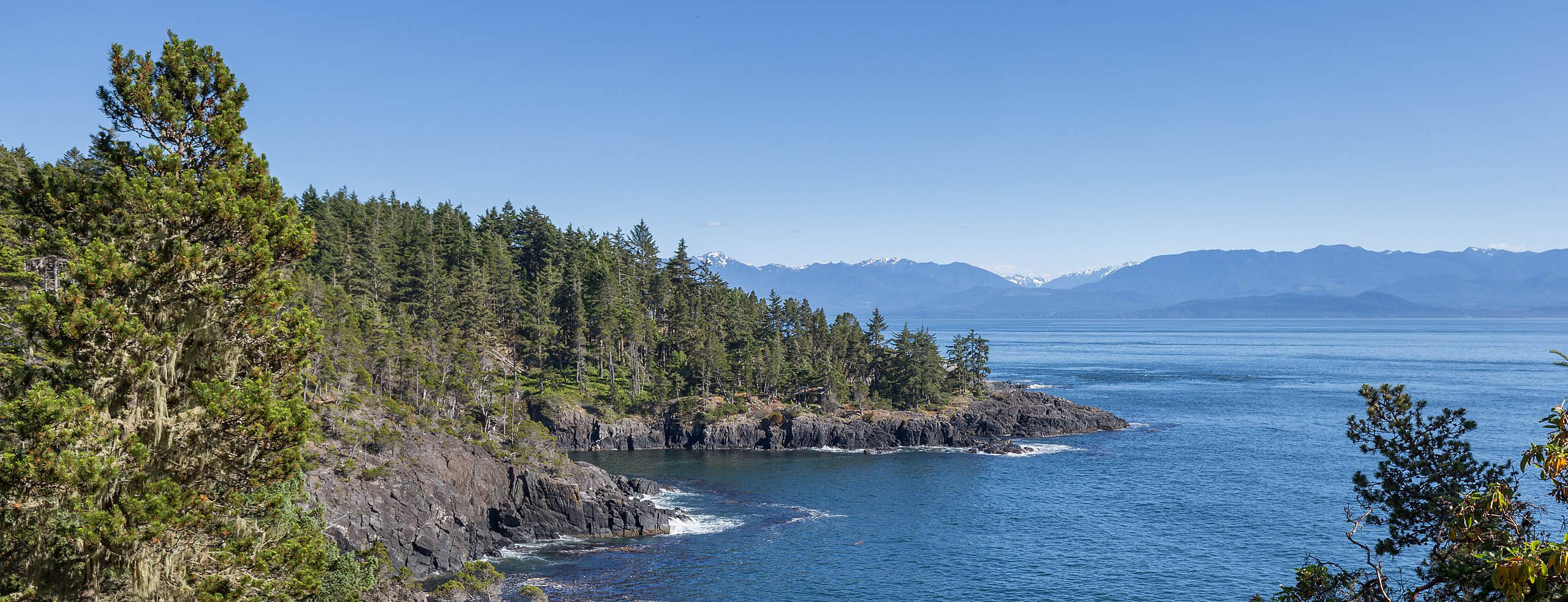 Rocky coastline with forest in Canada