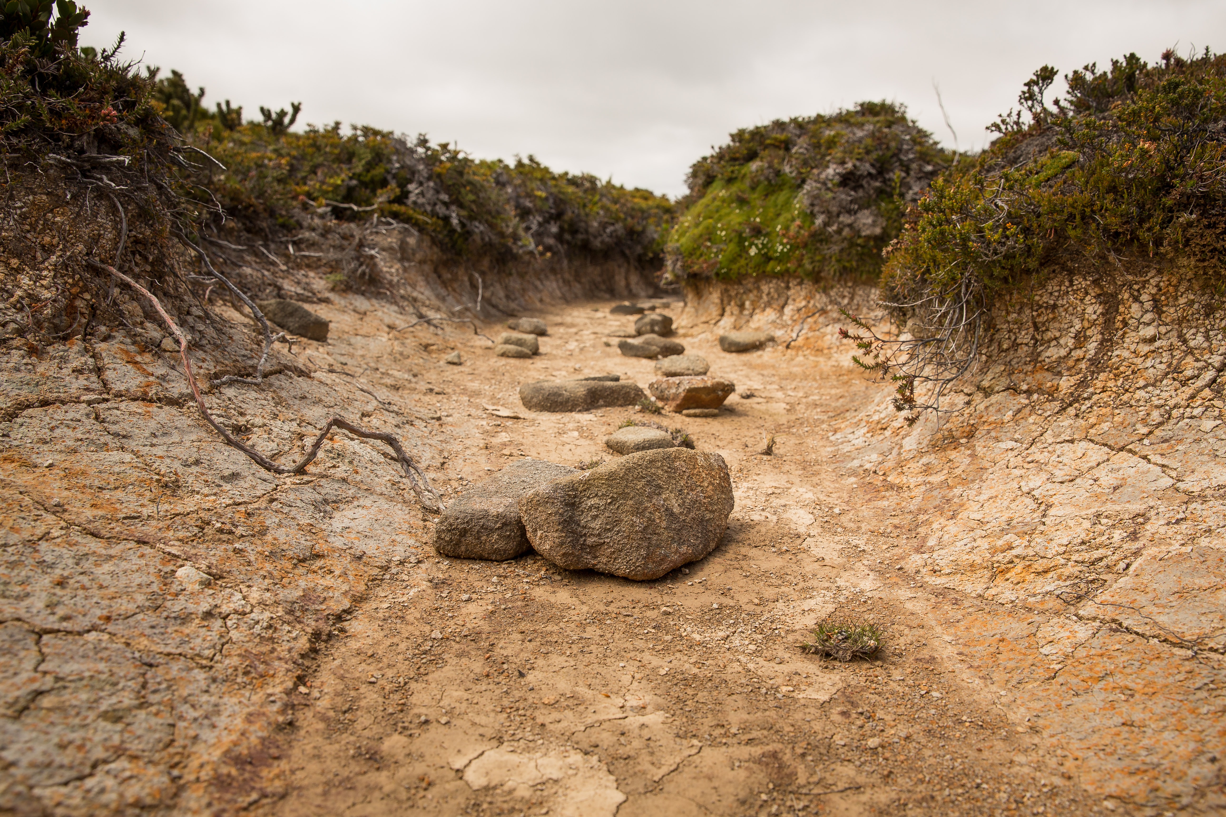 Close up of dried soil in creek bed