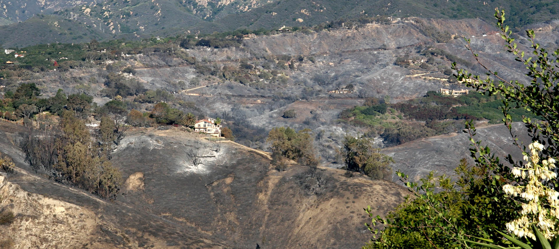 Hillside scarred by wildfire with one house standing