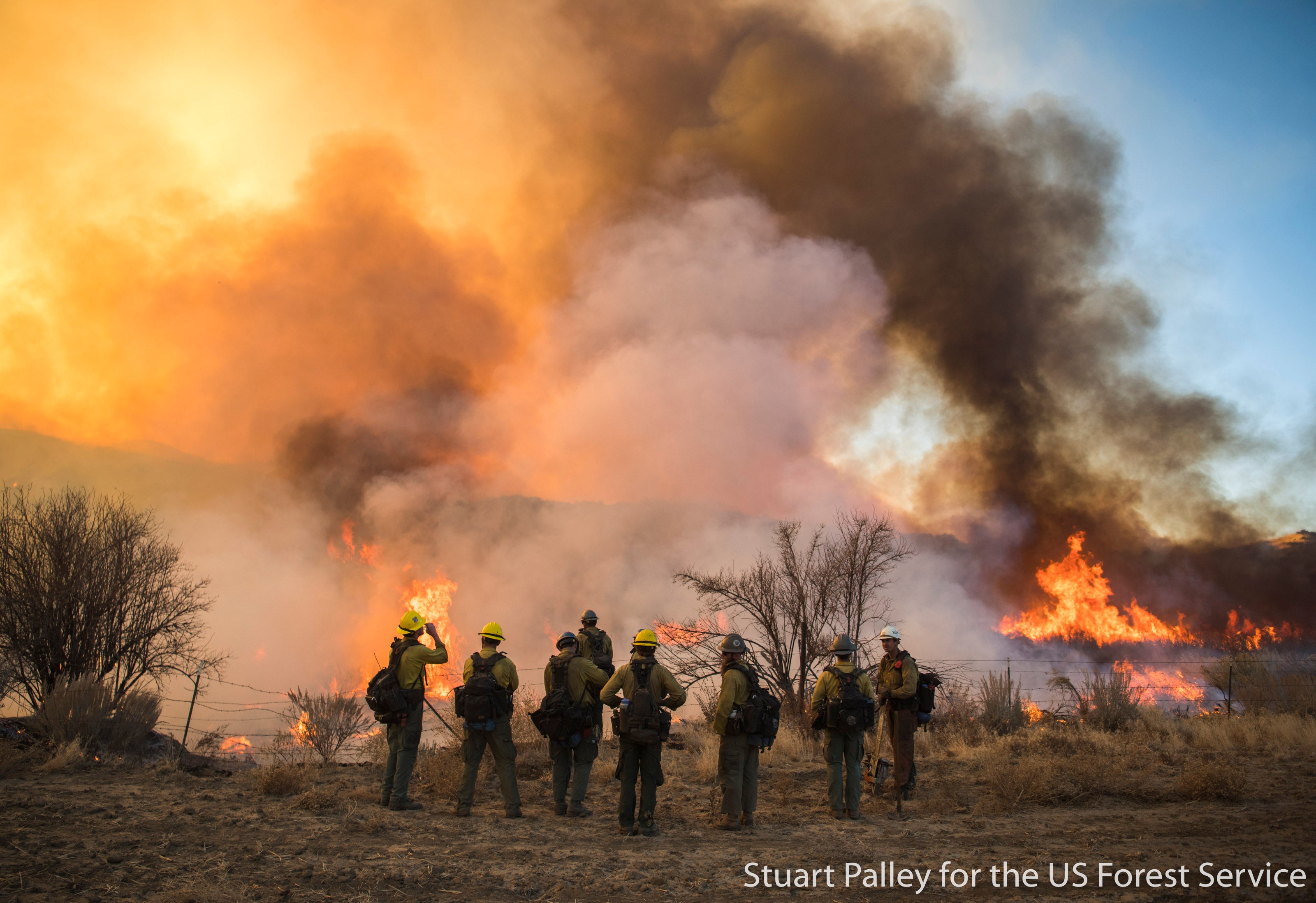 Firefighters gather at fire's edge with lots of smoke