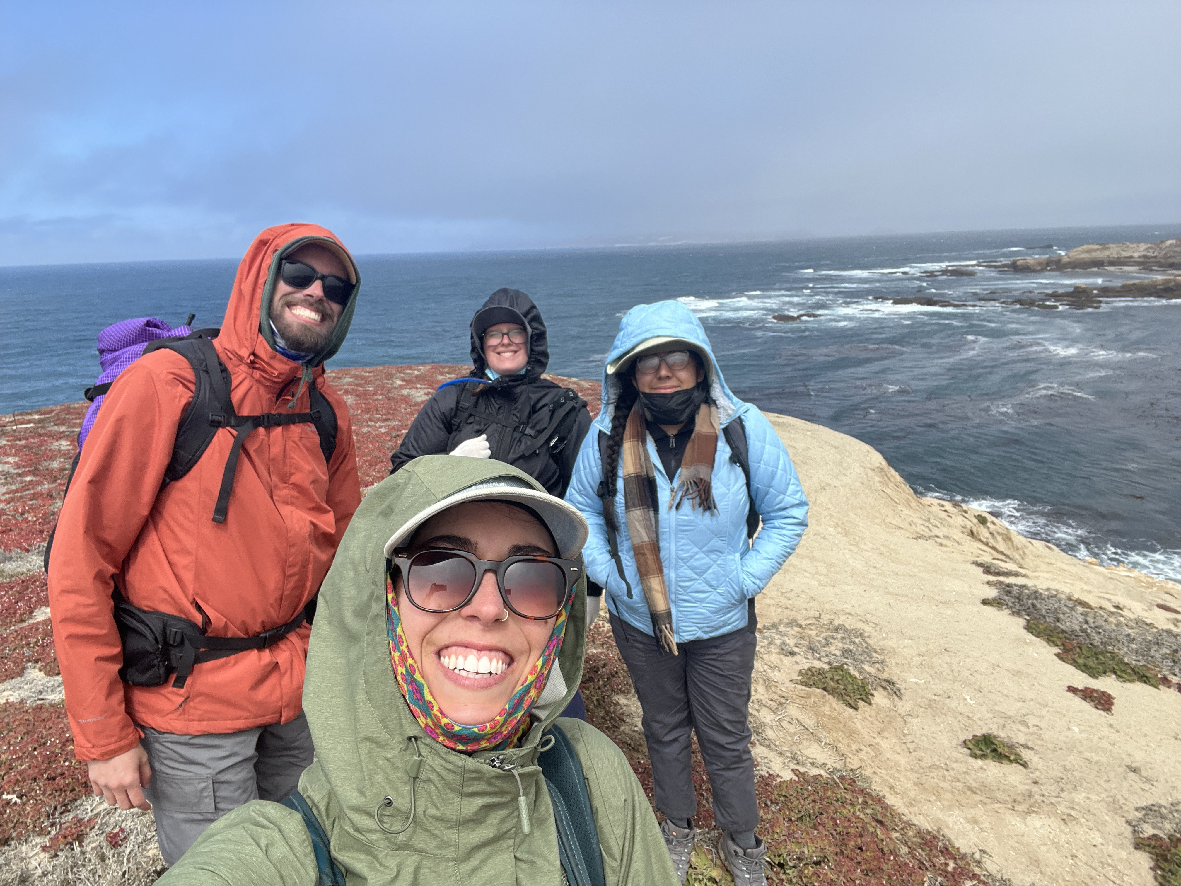 Four students stand on an ocean cliff