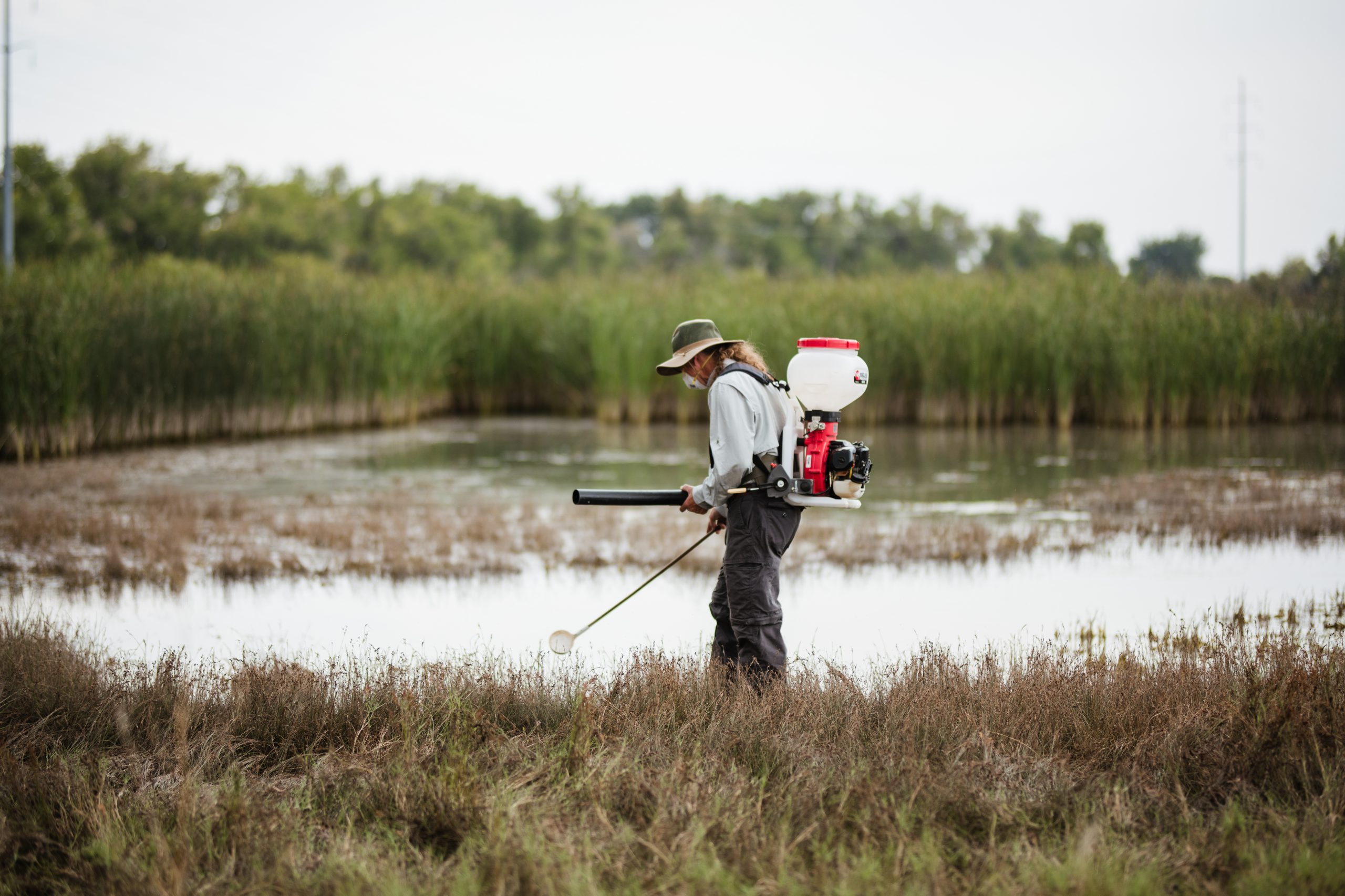 Treatment of standing water to reduce mosquito populations