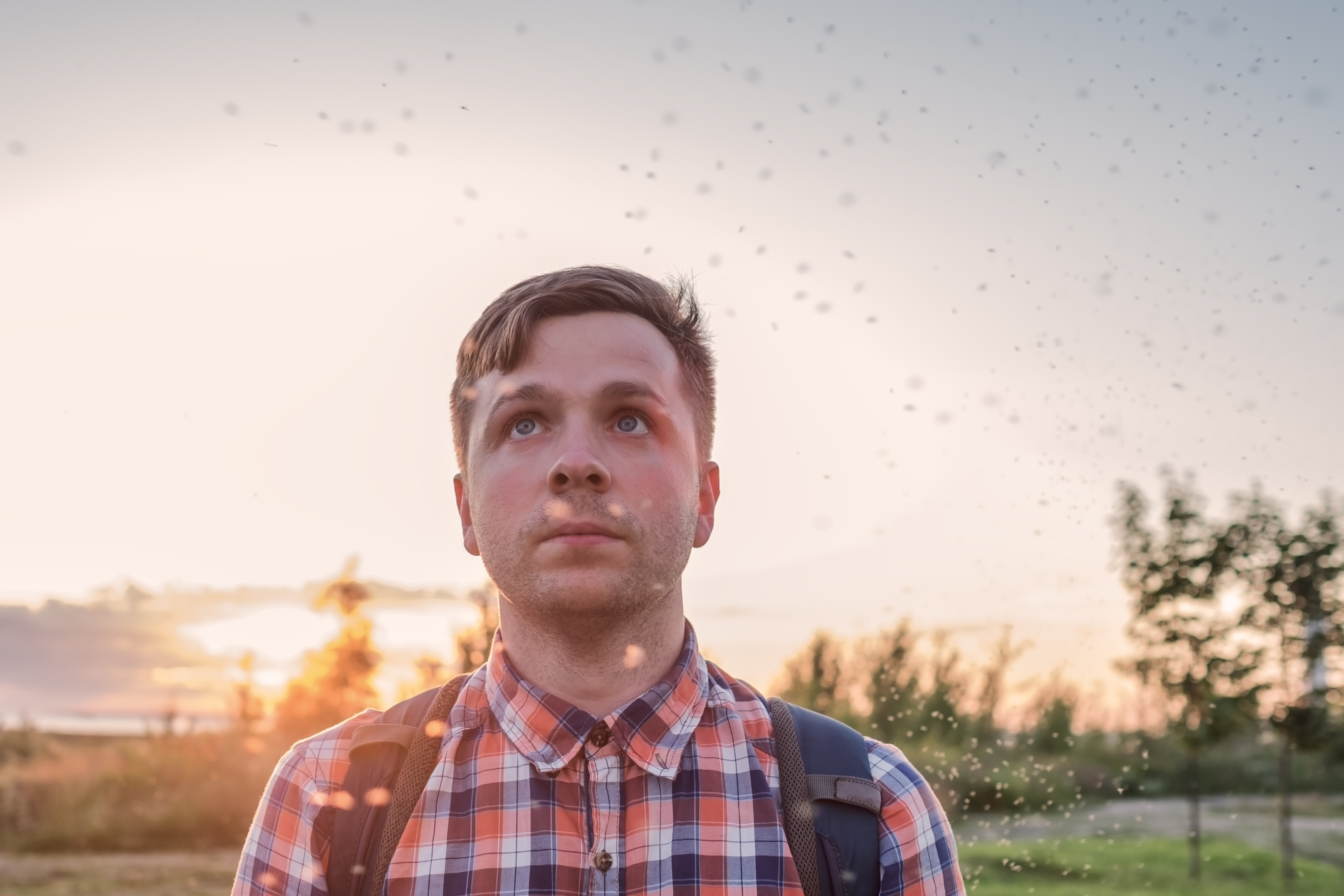 man looking at mosquitos