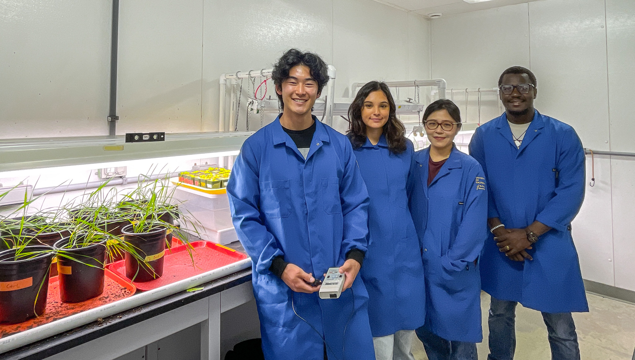 Bren Environmental Leaders (BEL) Program Fellows working in the Keller Lab