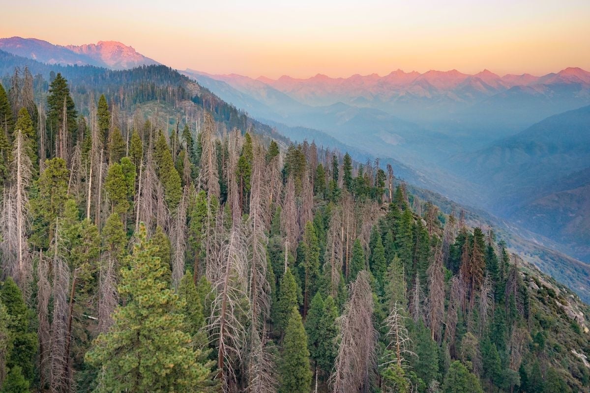 Kings Canyon 