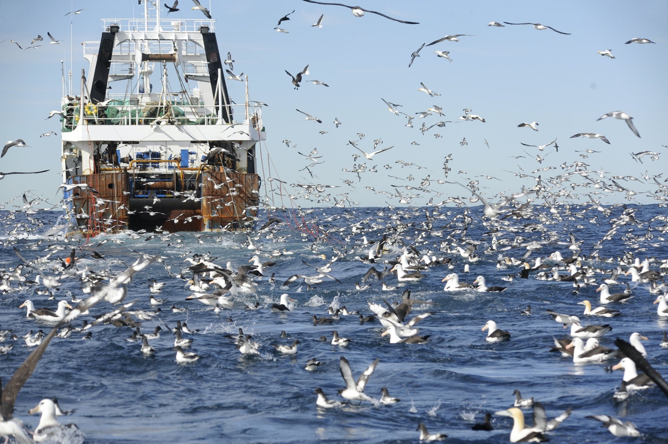 fishing trawling South Africa 