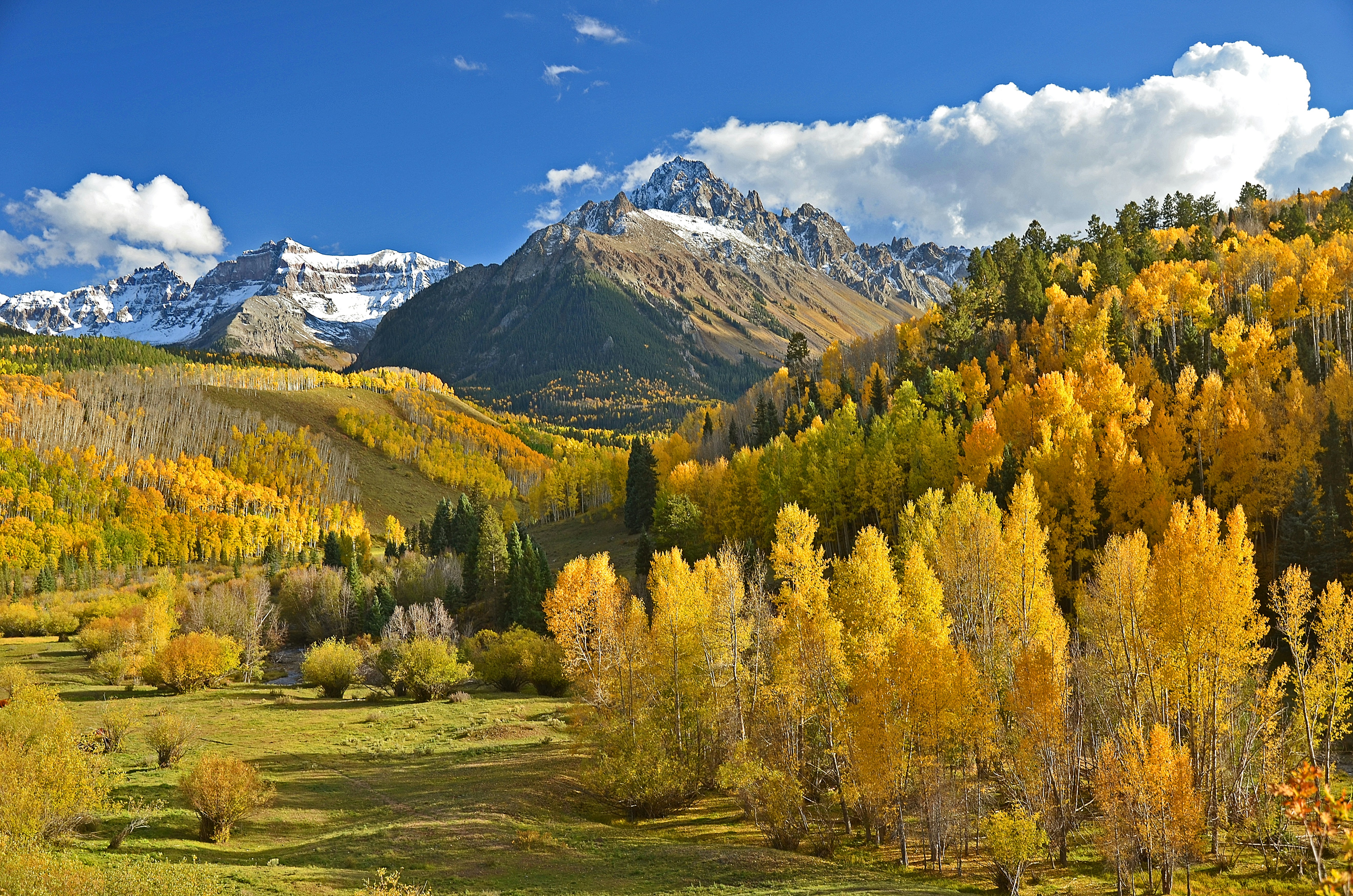 Mountain with blue sky and yellowing trees and grass in front of it in Colorado.