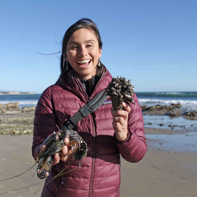 Woman on beach holding tidepool creatures