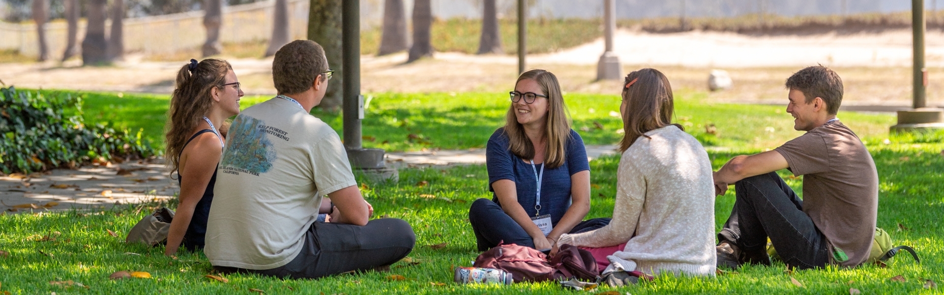 Group of five students sitting under tree