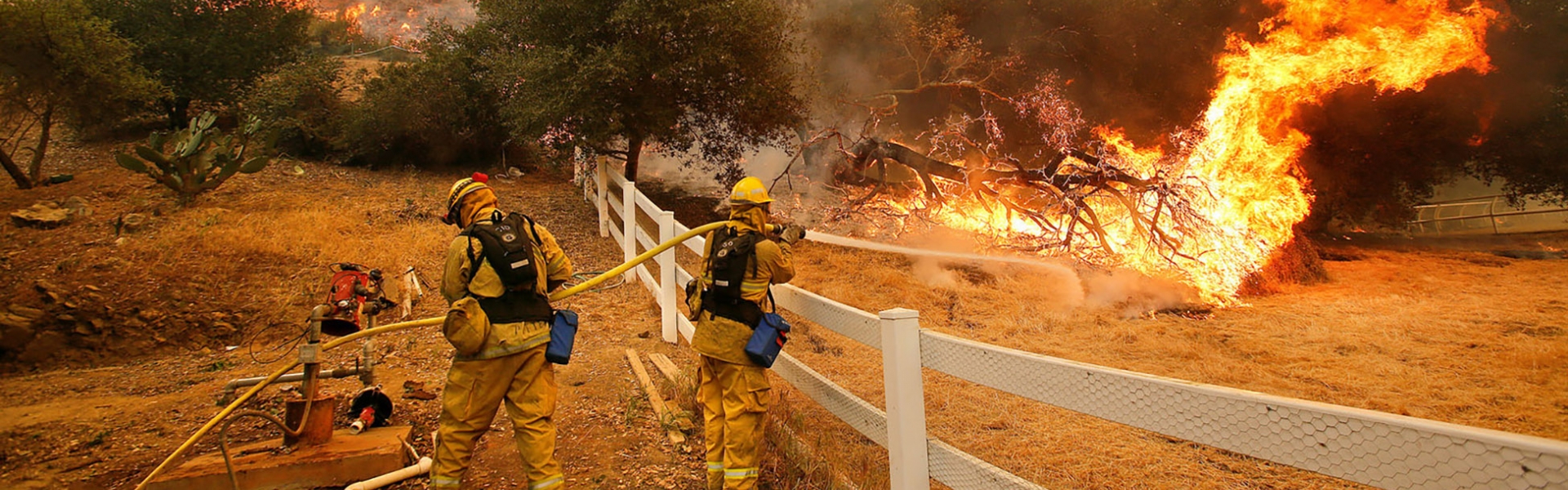 Firefighters combating wildfire perimeter with hoses