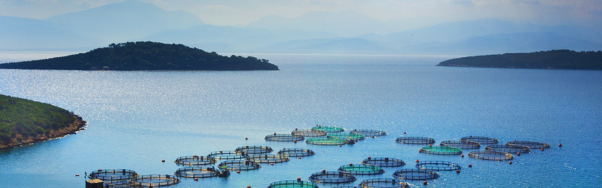 Aquaculture nets on a blue ocean