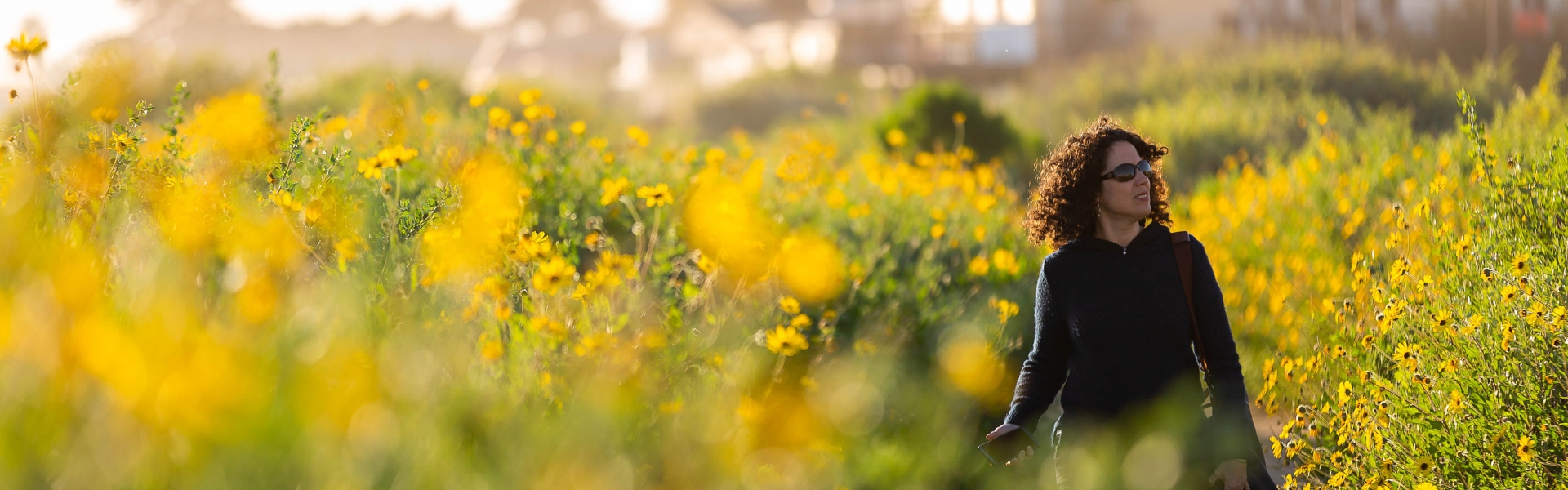 Woman walking on path surrounded by yellow flowers