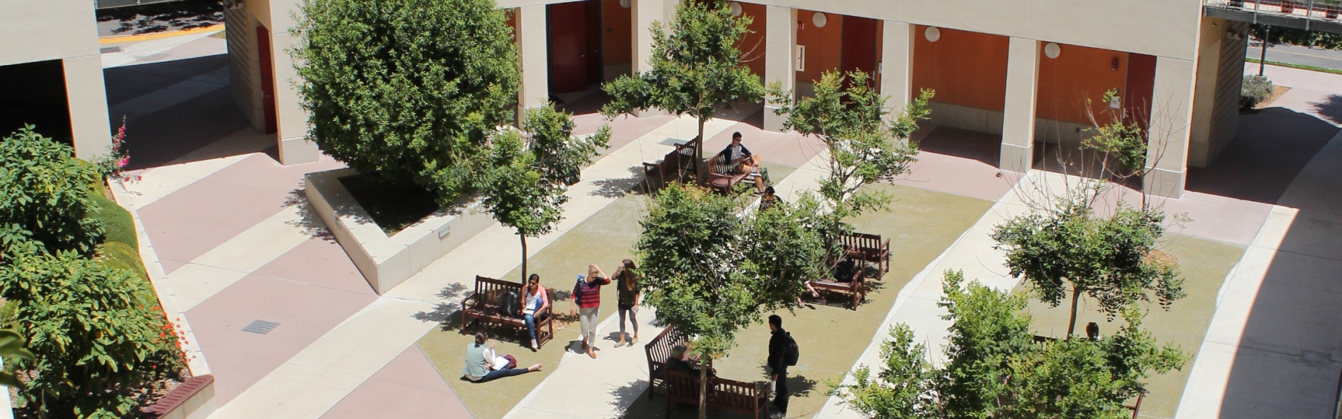 Courtyard exterior with trees