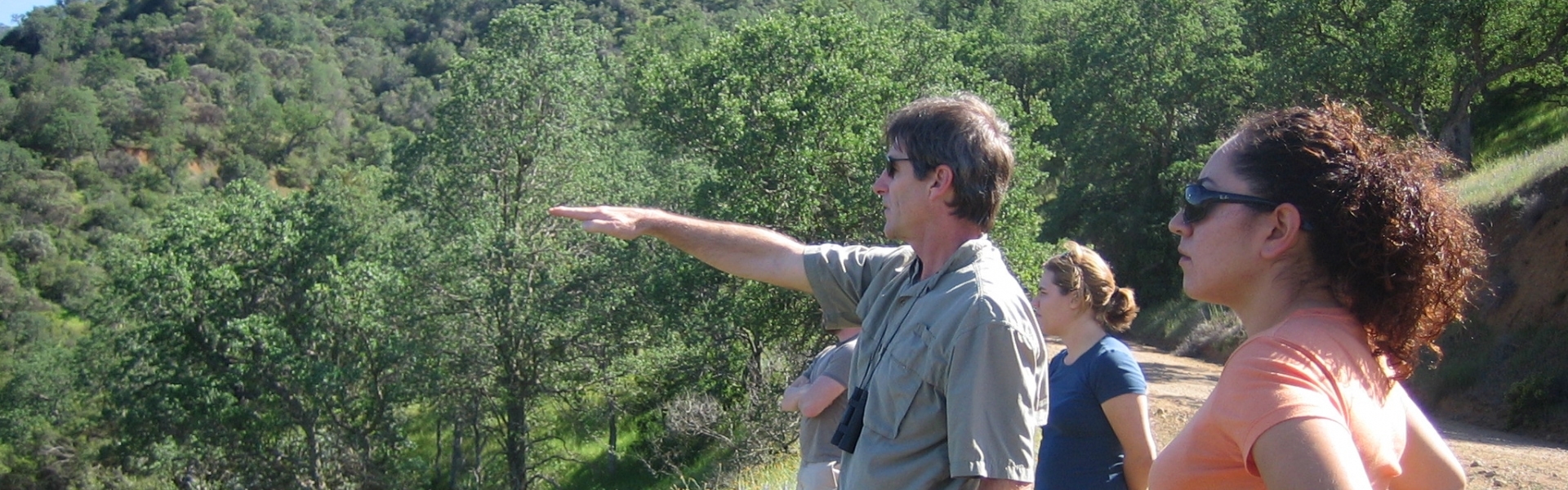 Four people stand on grassy hillside, man points at trees