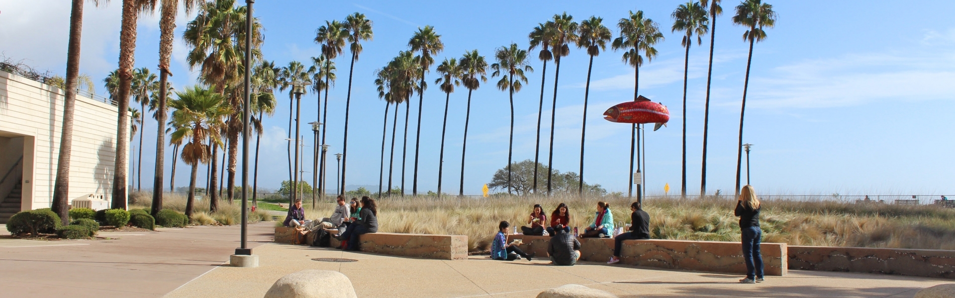 Wide view of a courtyard where students are sitting outdoors