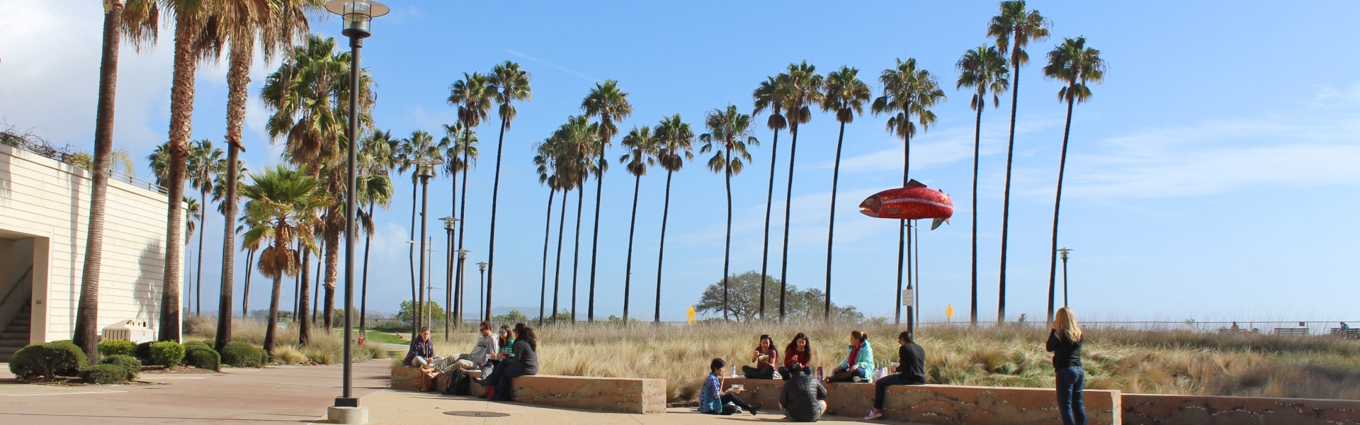 Distance shot of students sitting on stone benches