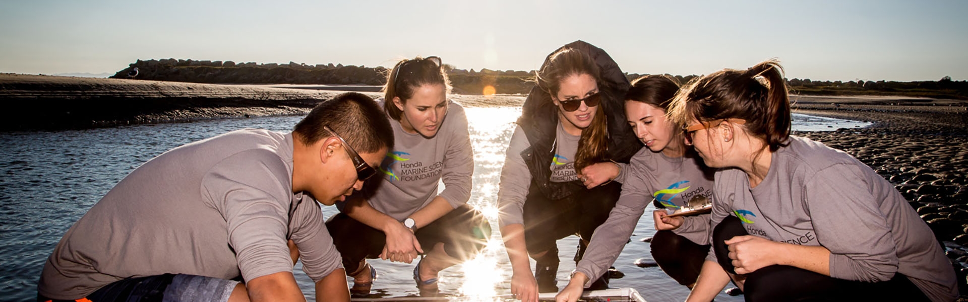 Five students lay transect grid onto marsh sand 