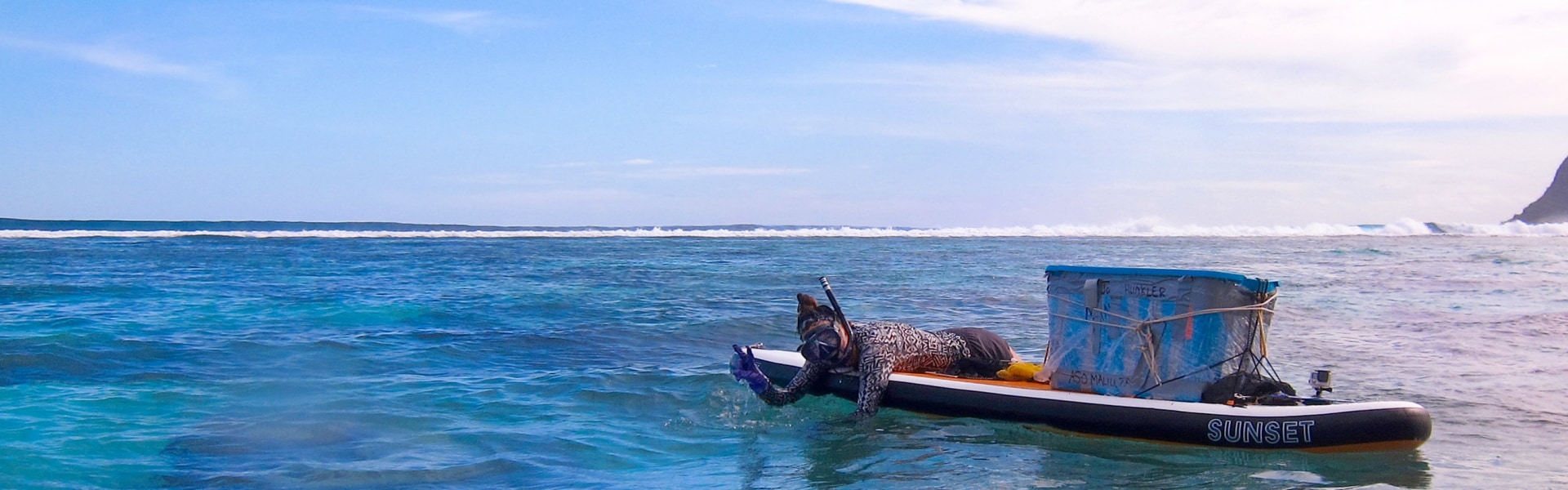 Student on paddle board tending to coral reef