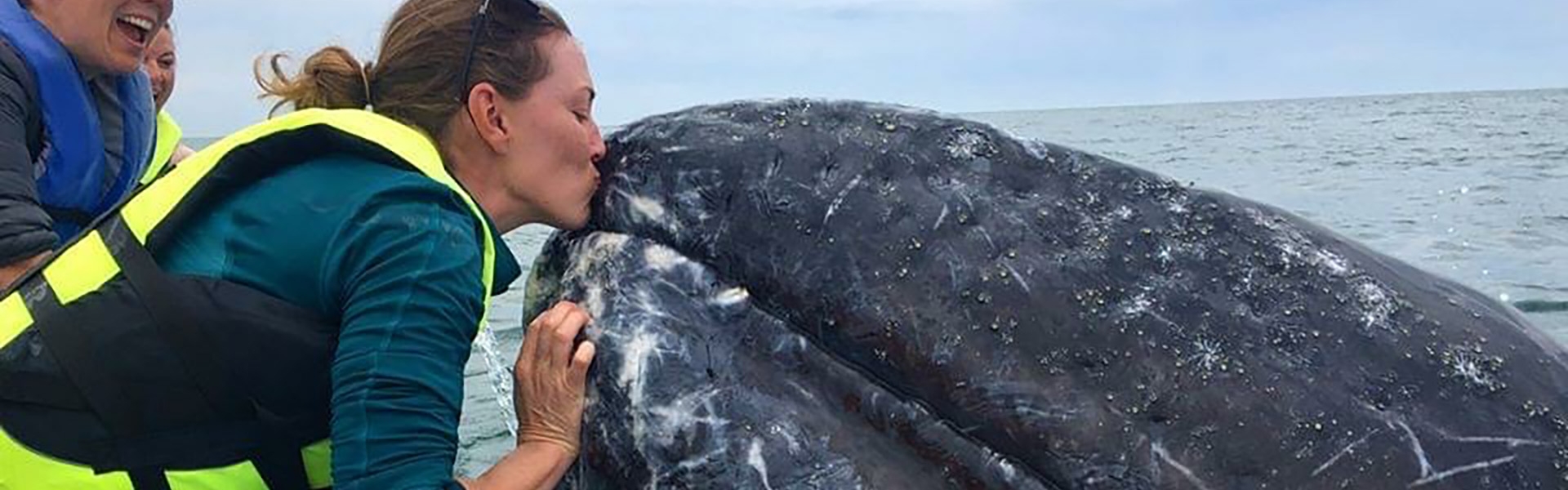 Woman on boat kissing a whale