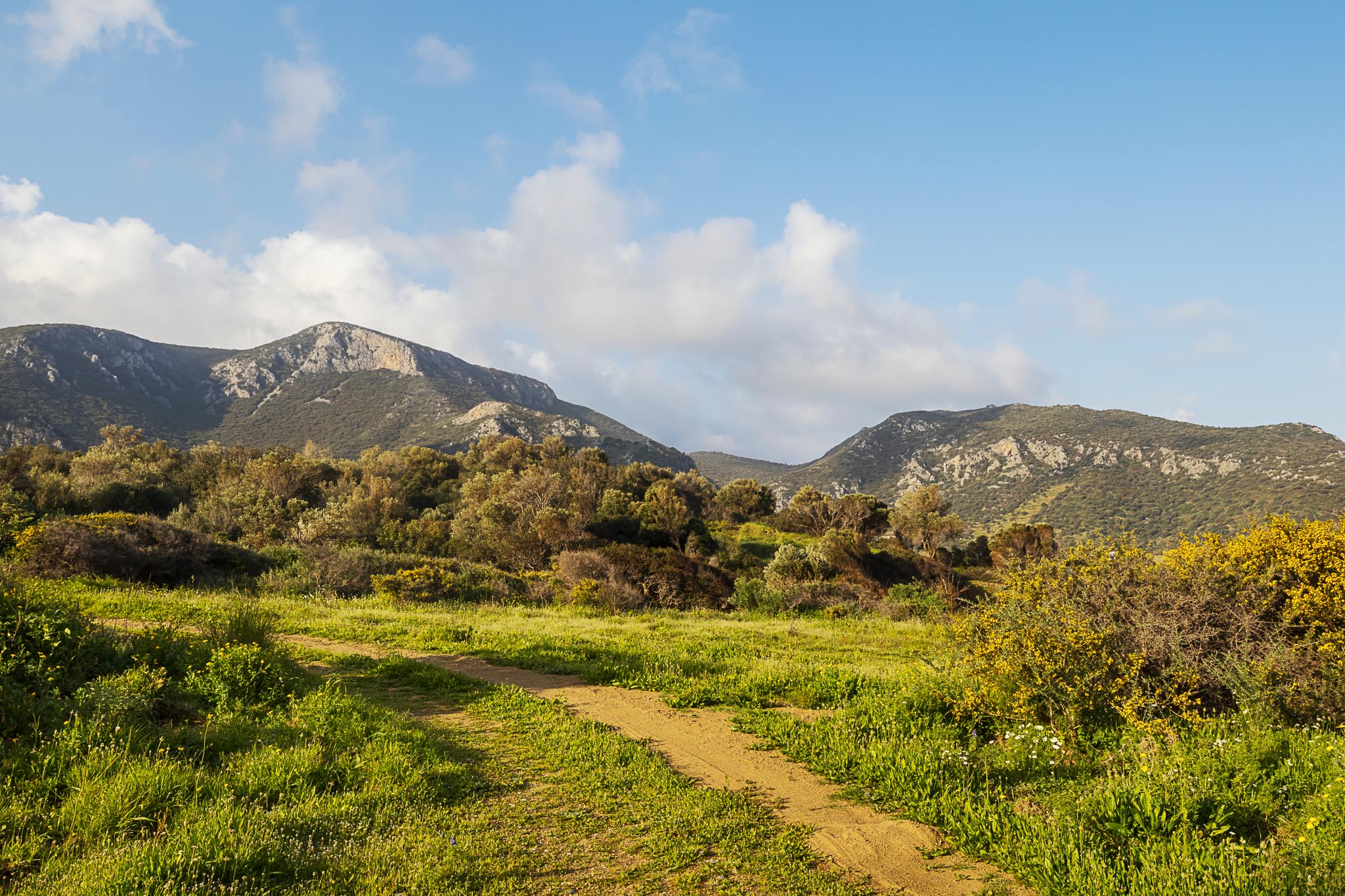 Trail in the Santa Barbara mountains