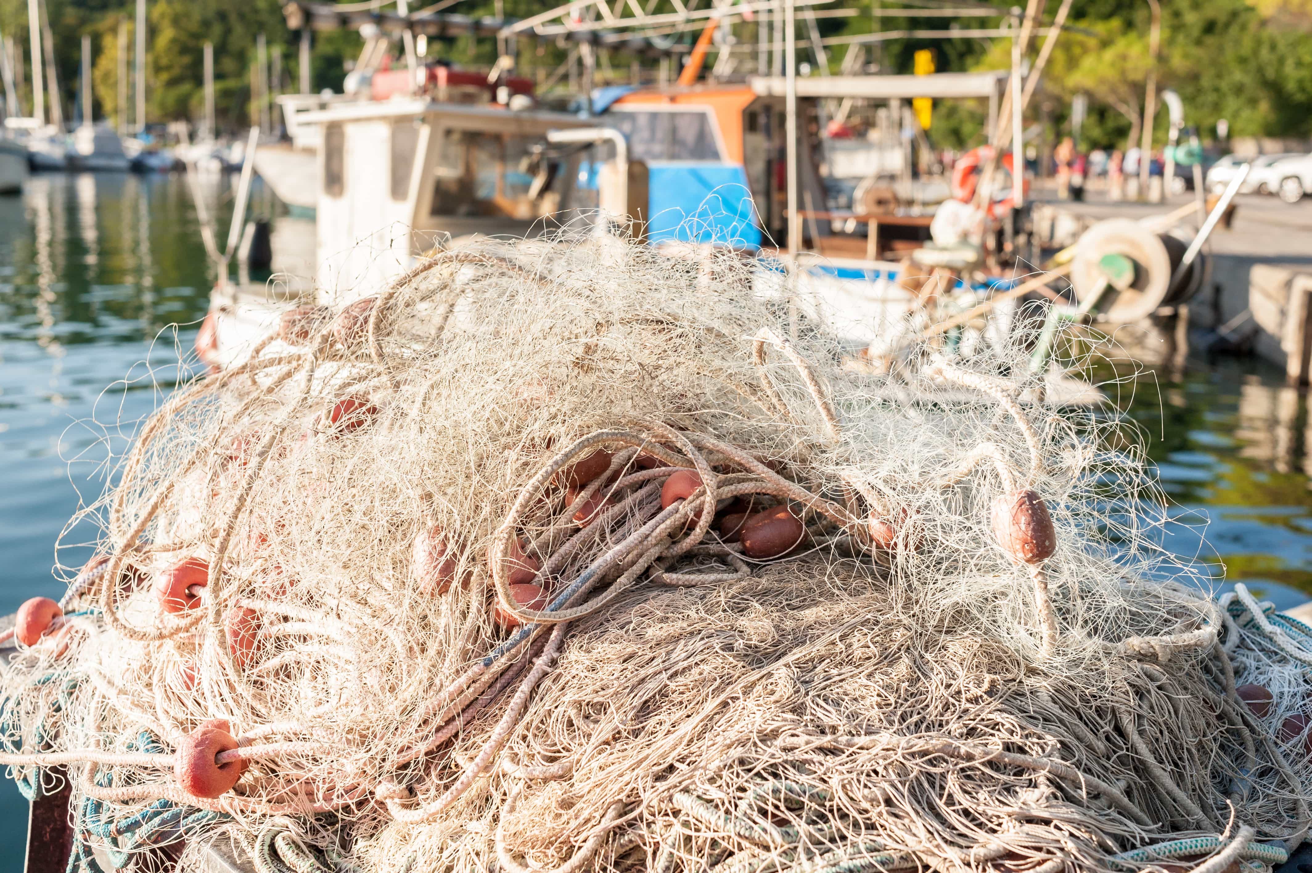 Fishing net to dry